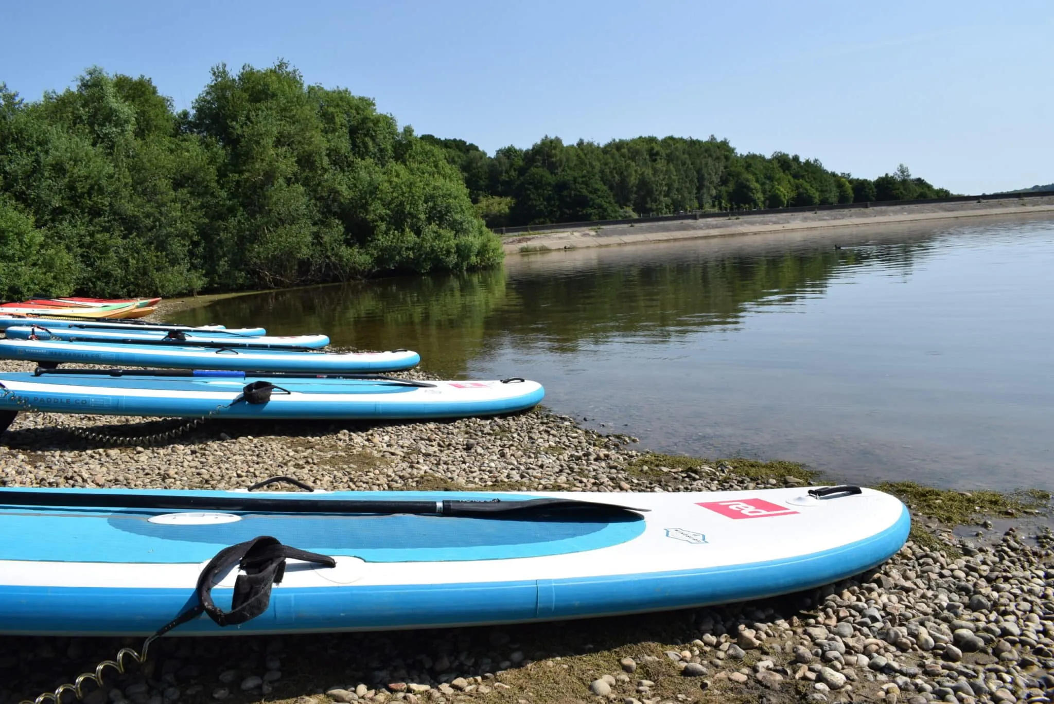 Dragon Boat Race Festival