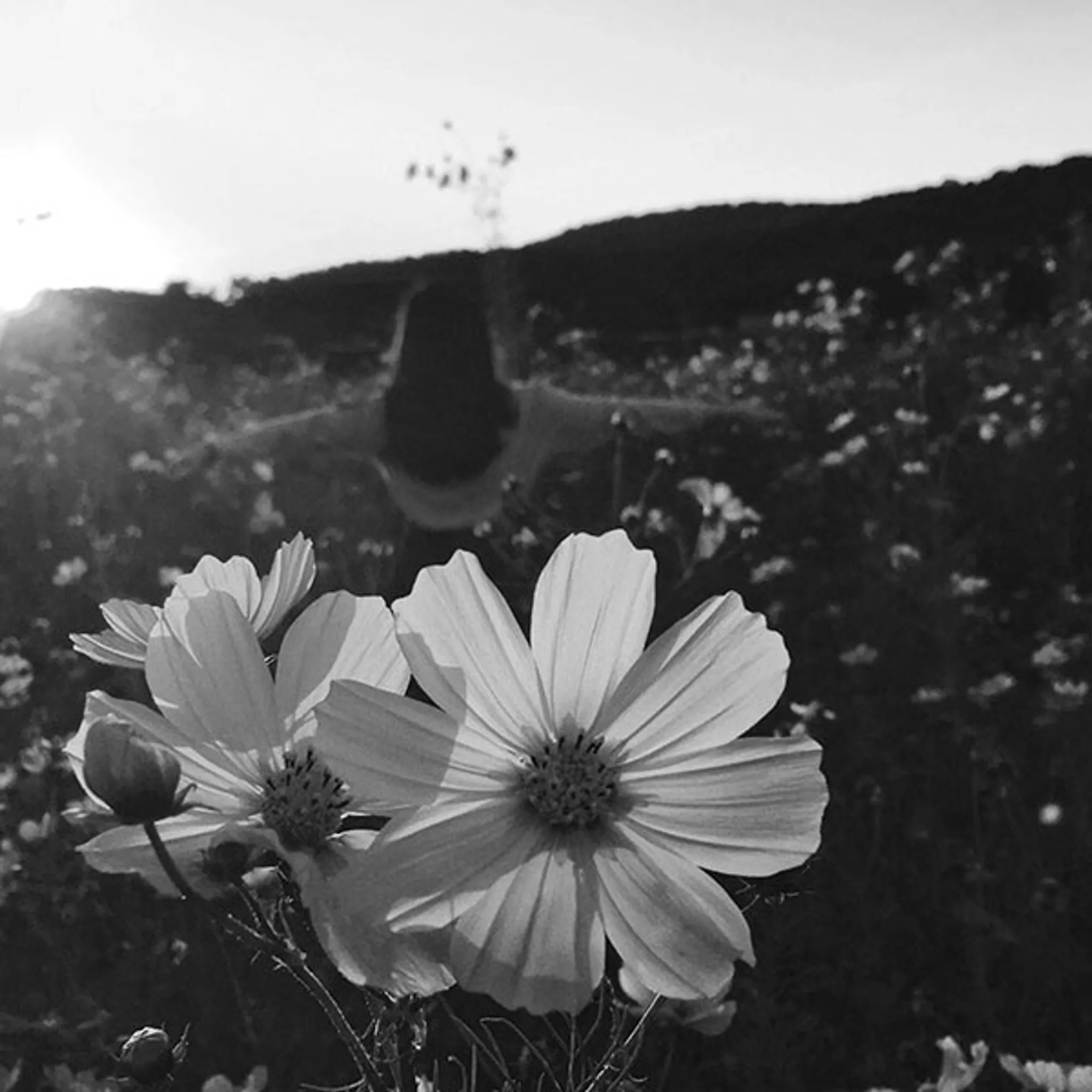 Couyoumdjian Stéphane