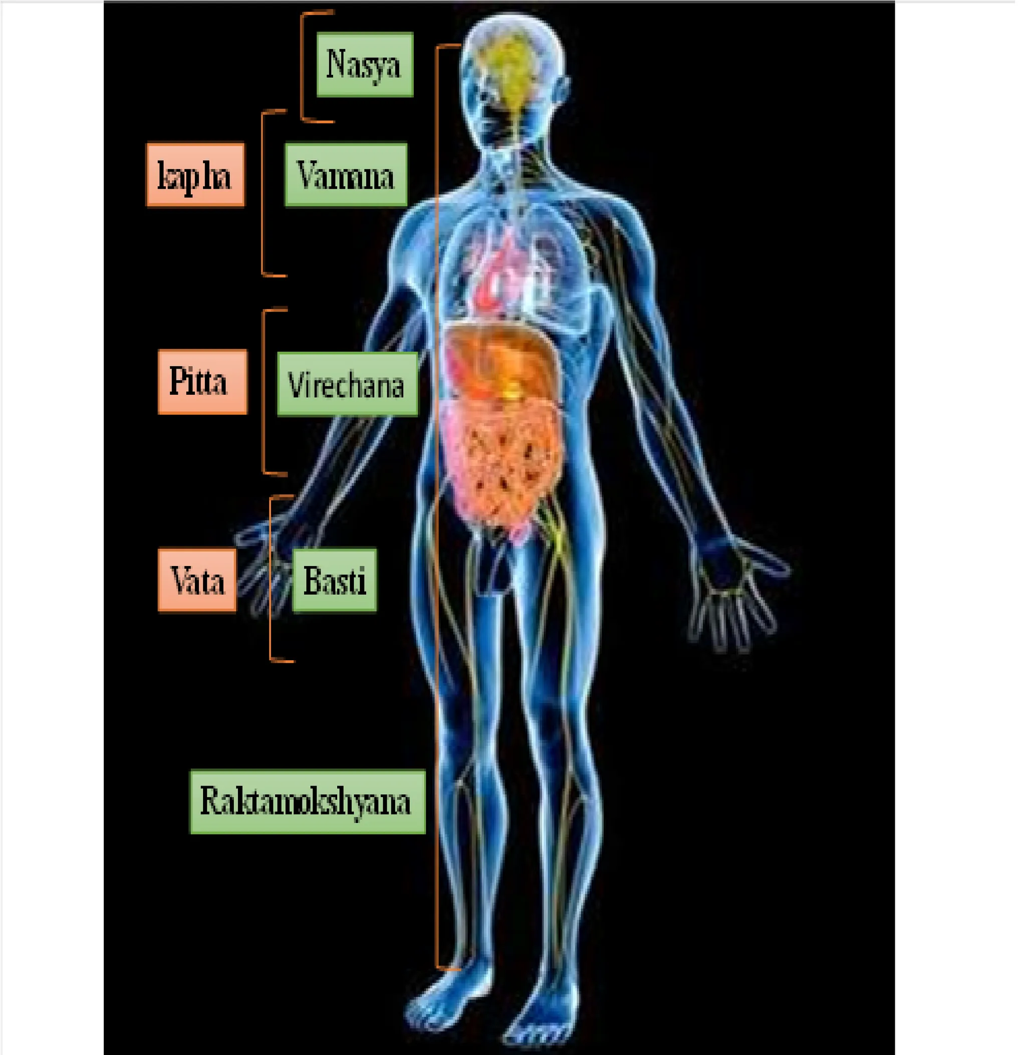The Brahmavidya Treatment and Training Center