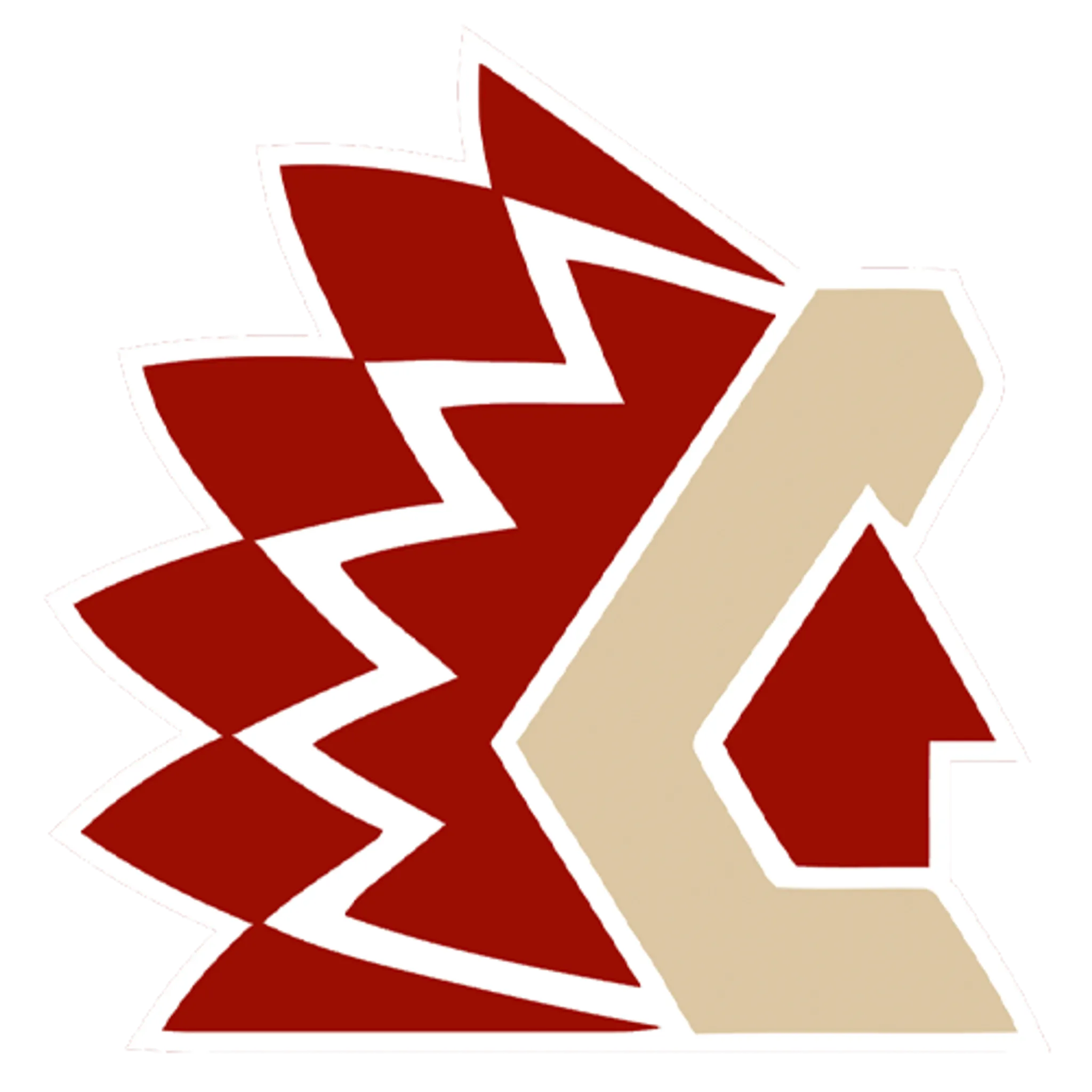 Vernon Vipers Hockey Club