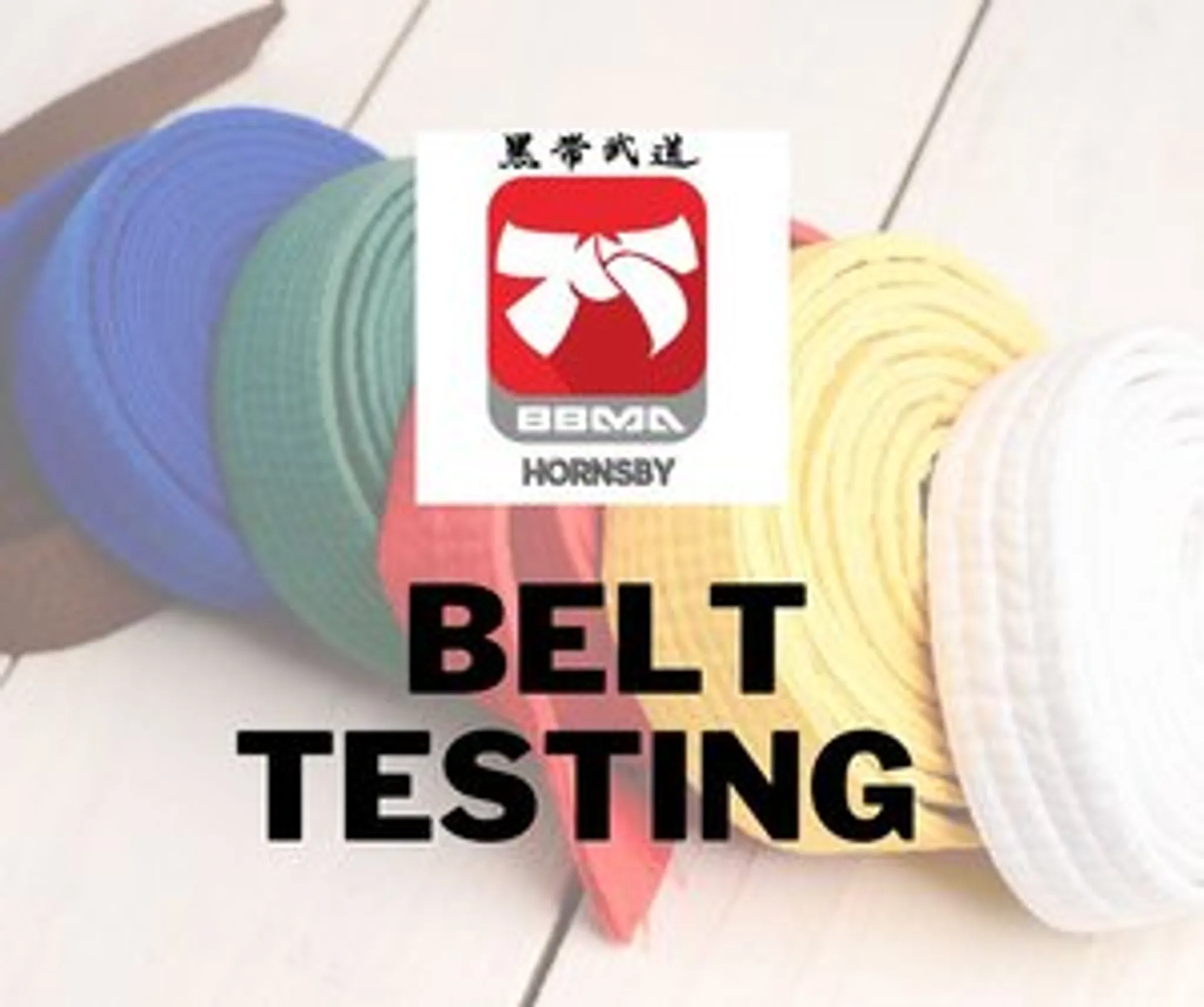 Black Belt Martial Arts Hornsby