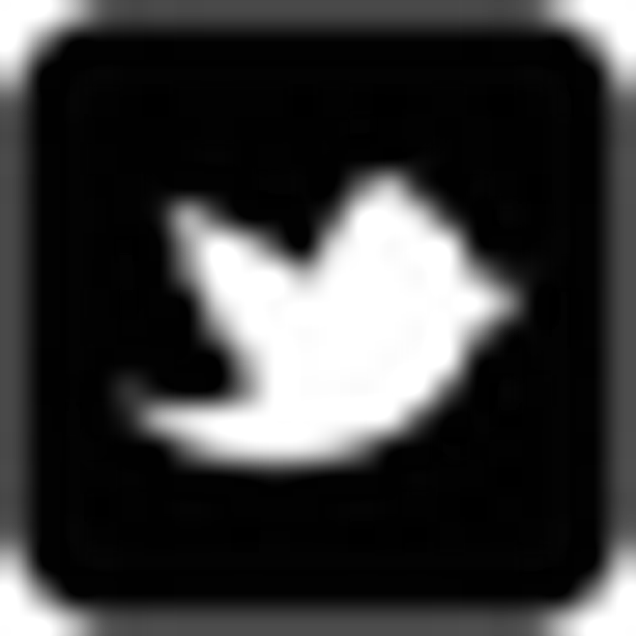 Strive Sports Management