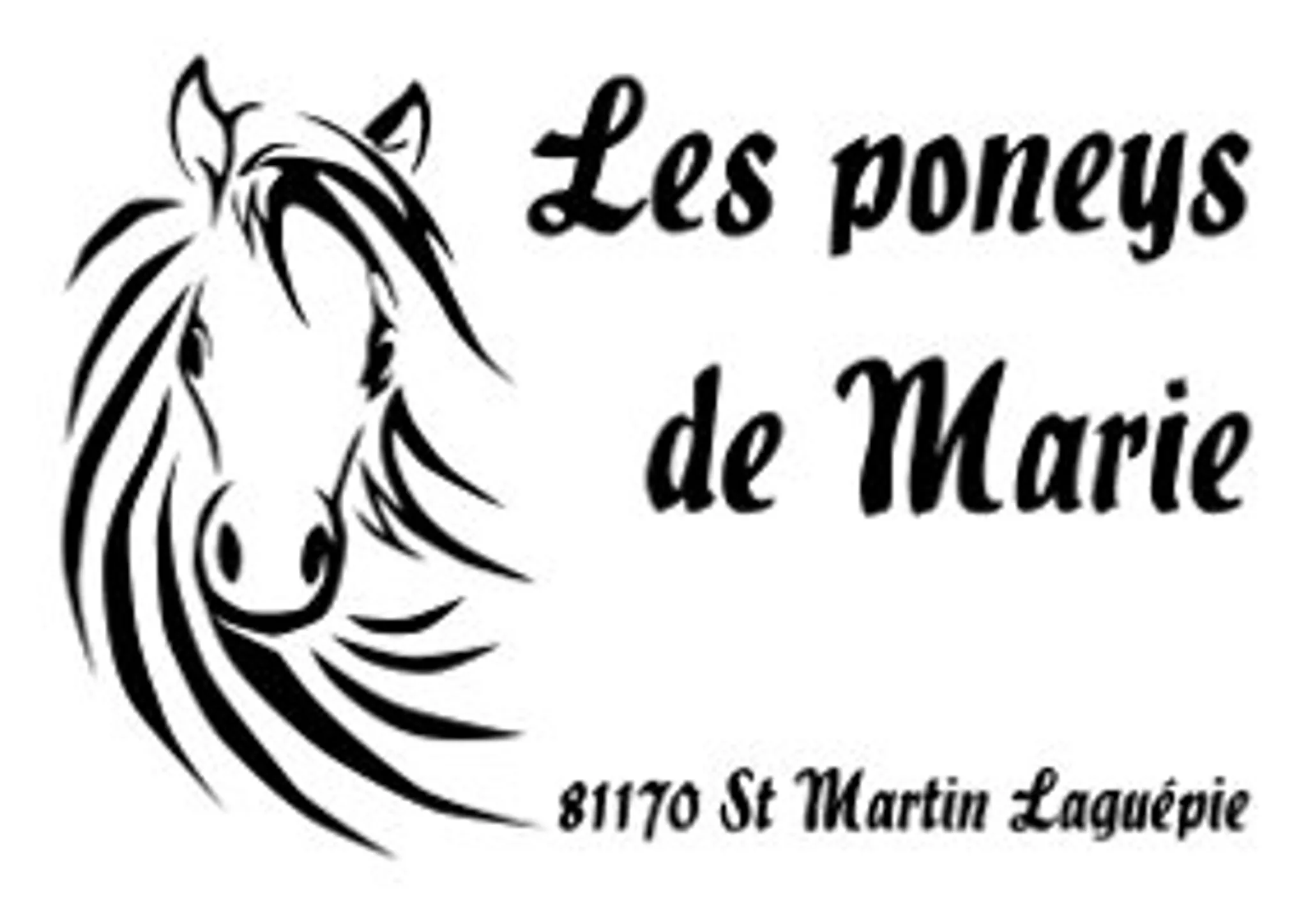 Les Poneys De Marie