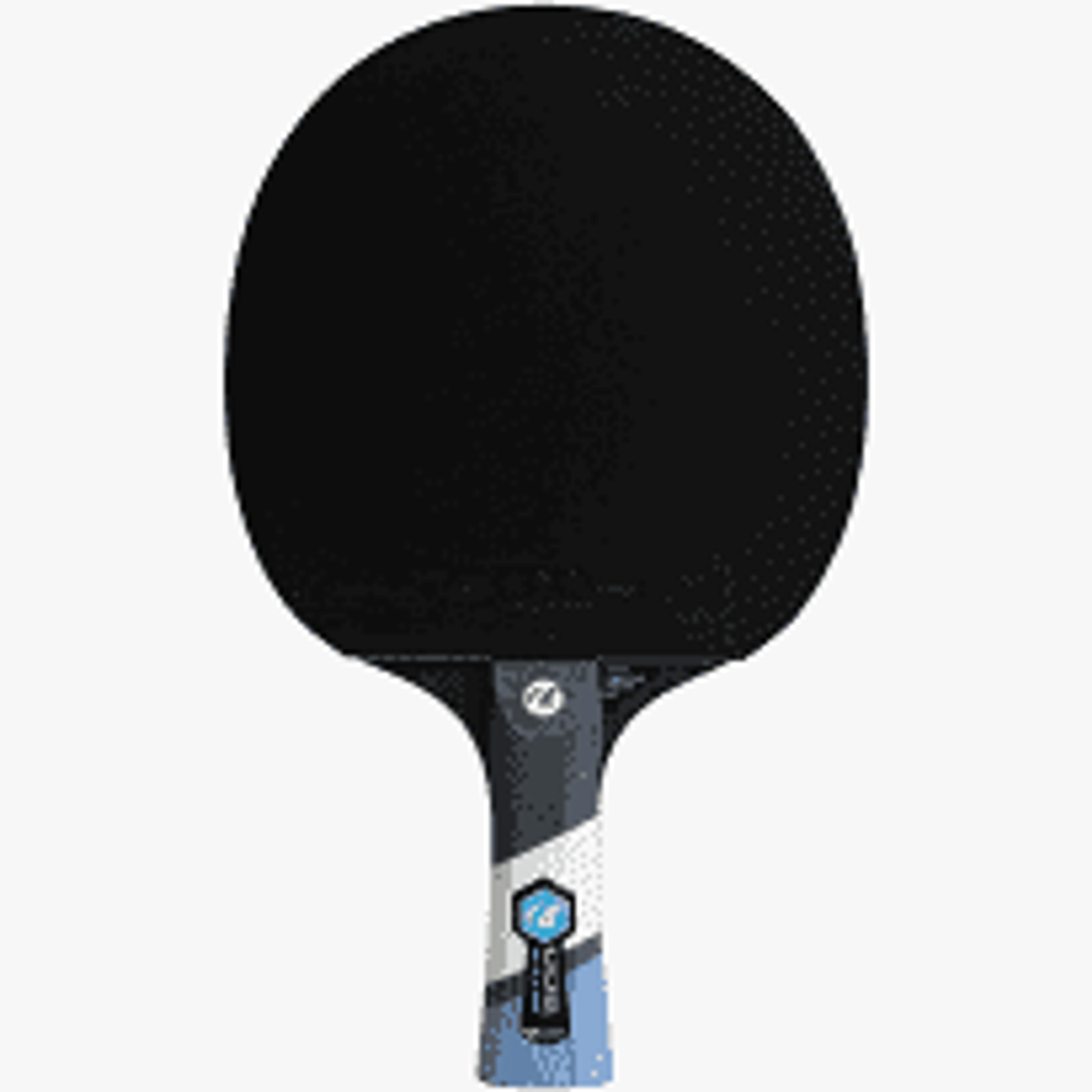 Bourgneuf Saint-Rogatien Tennis de Table