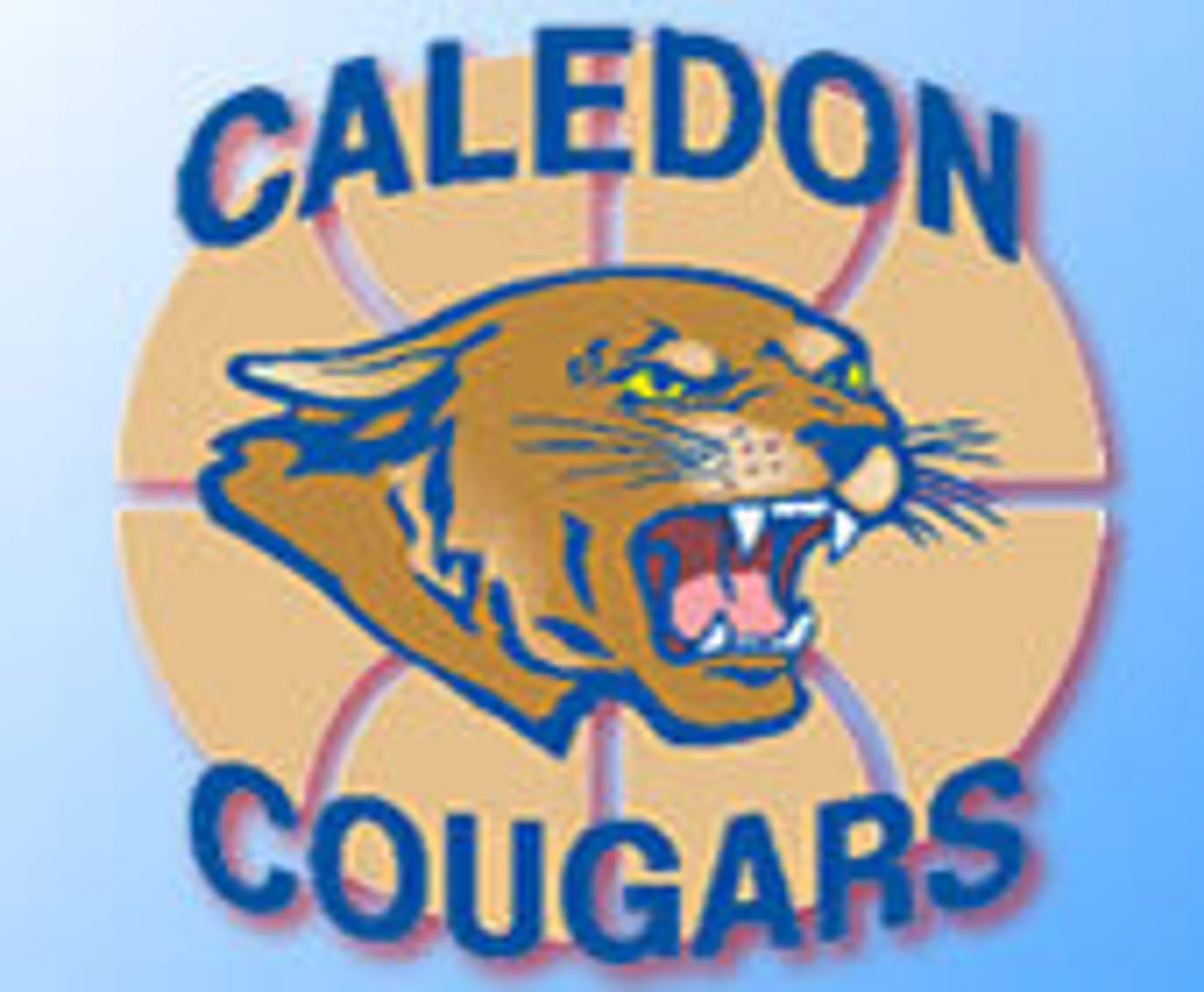 Caledon Cougars Basketball Association