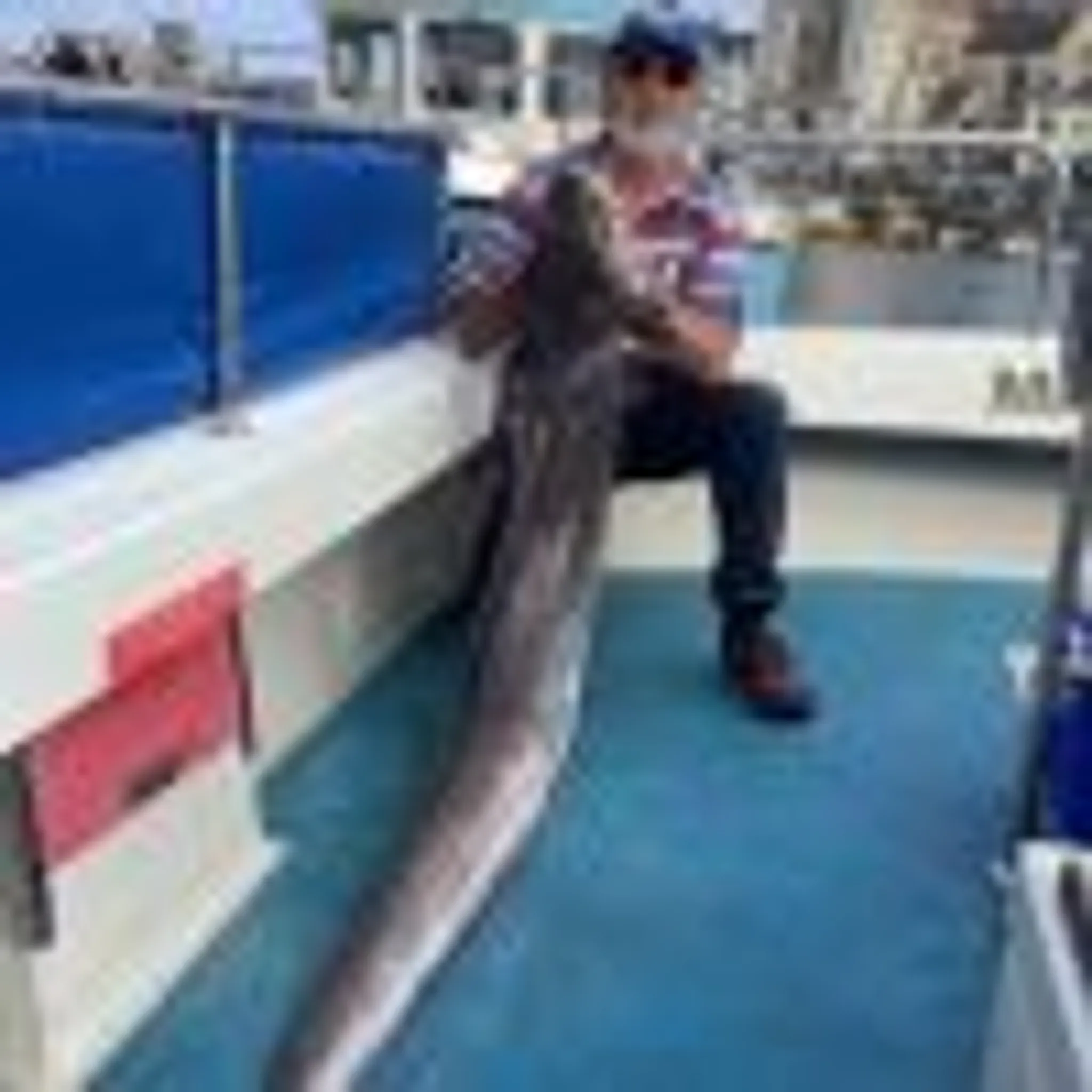 Al's Spirit Deep Sea Fishing Charter Boat and Jurassic coast sightseeing tours Weymouth