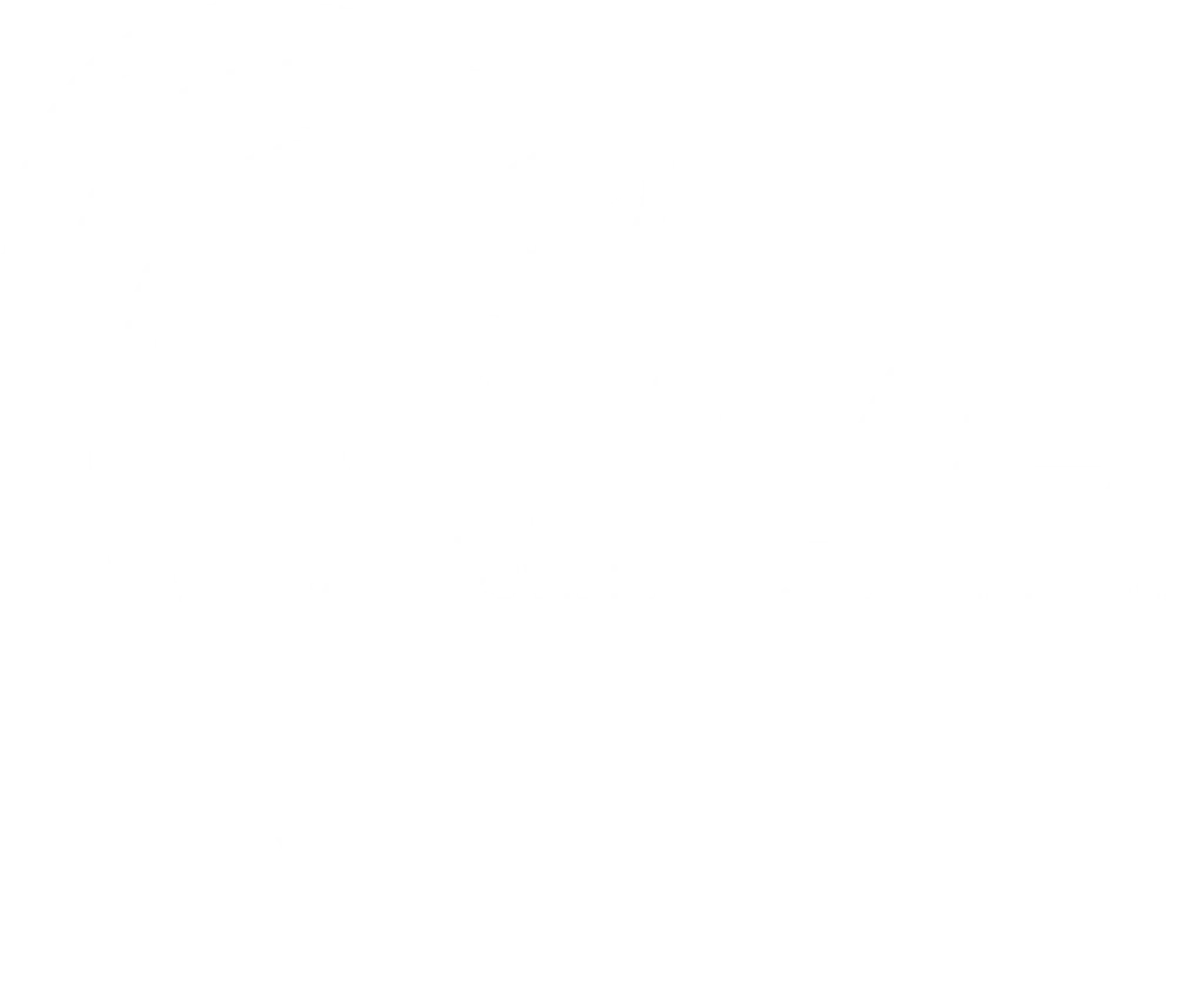 V.N.V.B