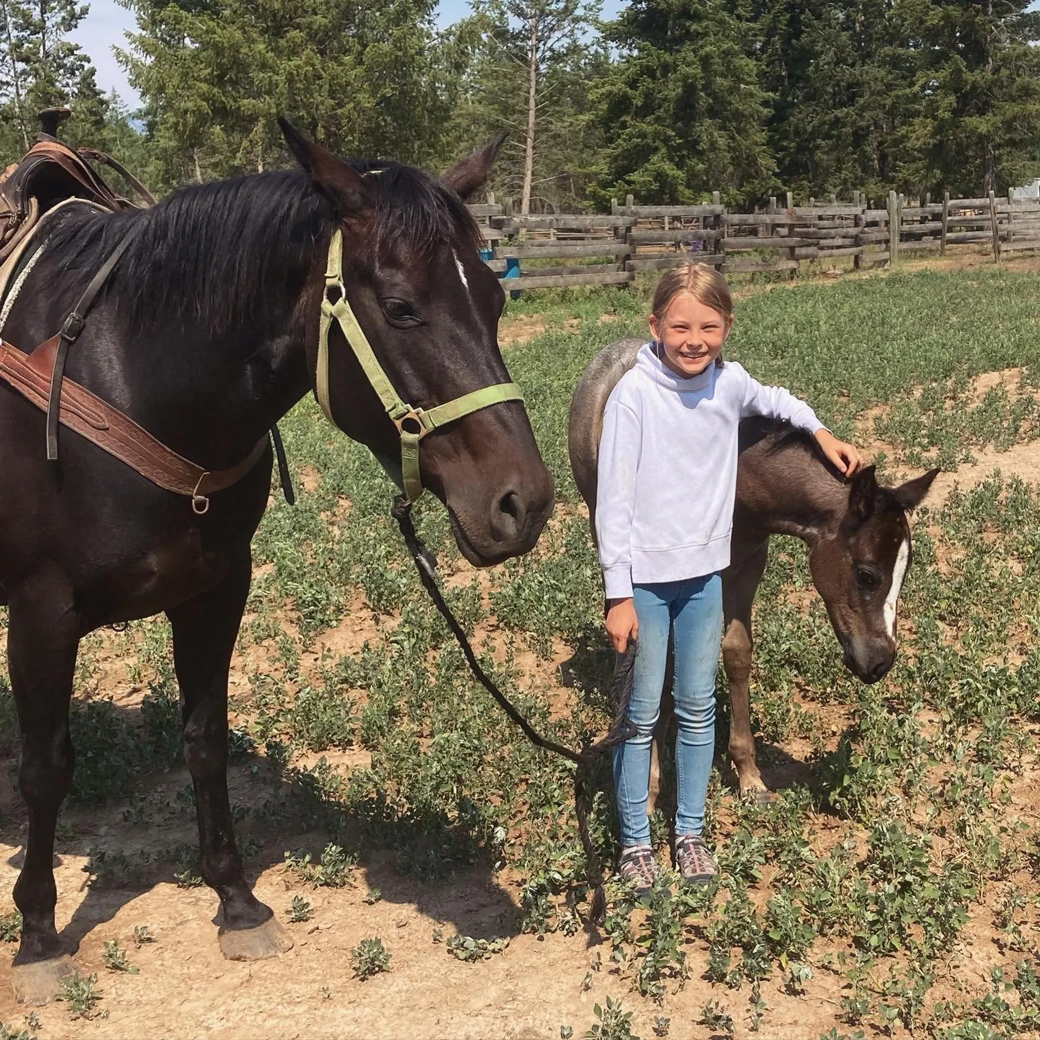 A/Z Mountain Adventures