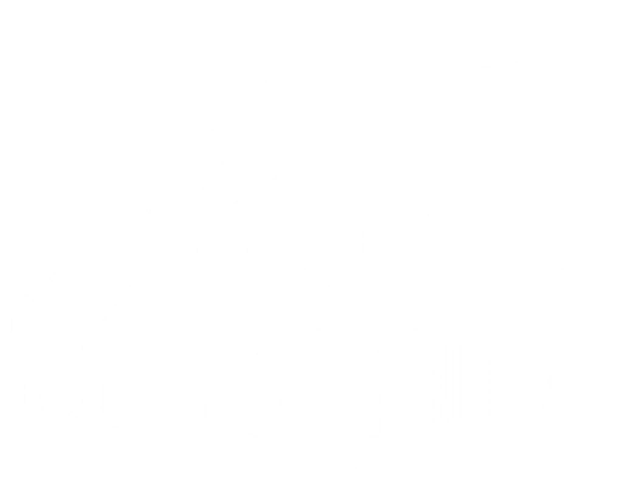 Anne Lawless Iyengar Yoga