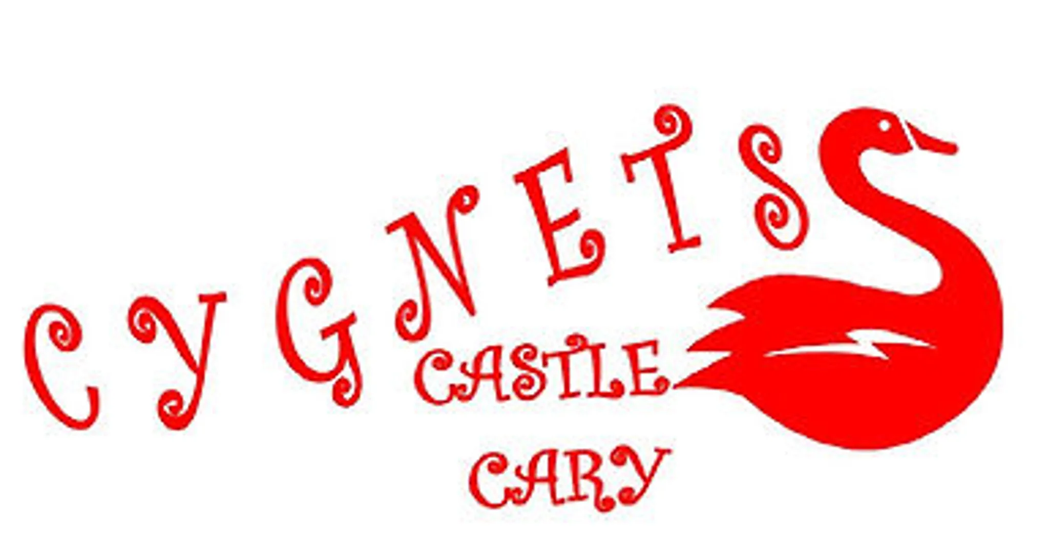 Castle Cary Cygnets Majorettes