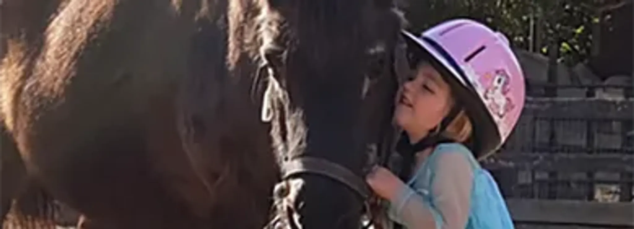 Southlands Heritage Farm