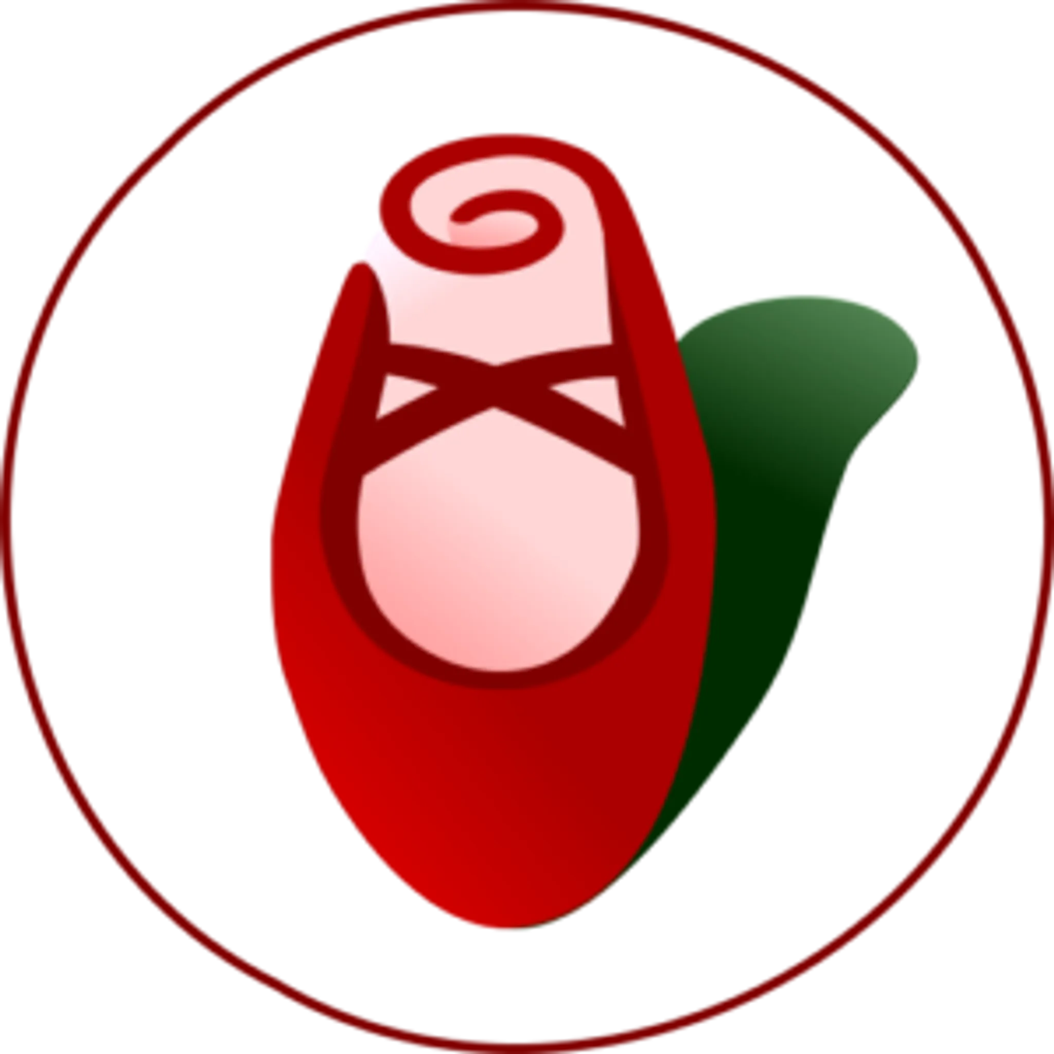 The O'Rourke School of Ballet - Kildare Town