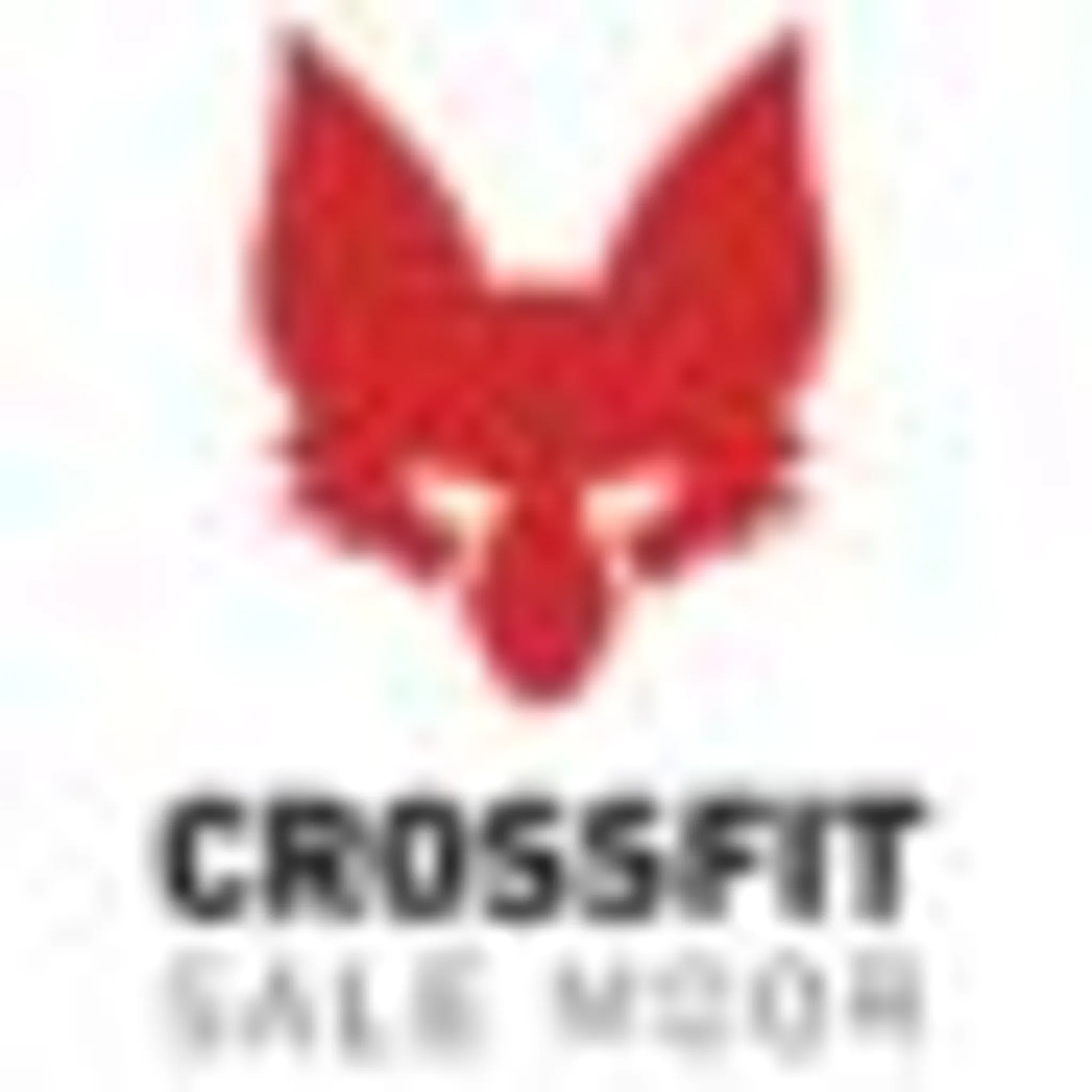 CrossFit Sale Moor