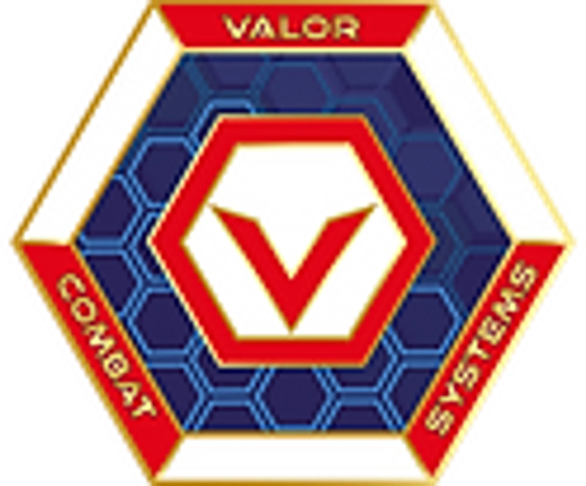 Valor Combat Systems Martial Arts Academy