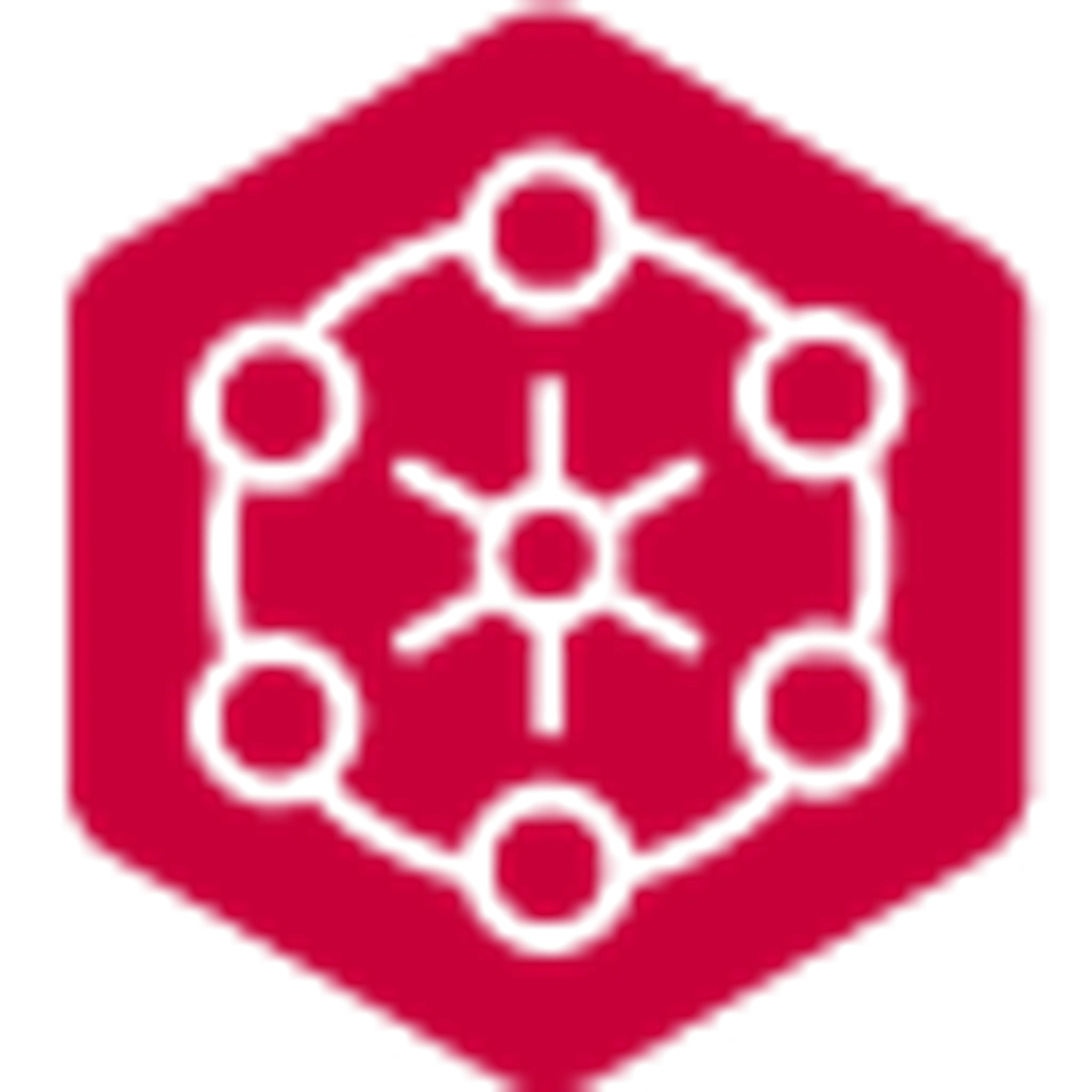 Mayor - bowling rink