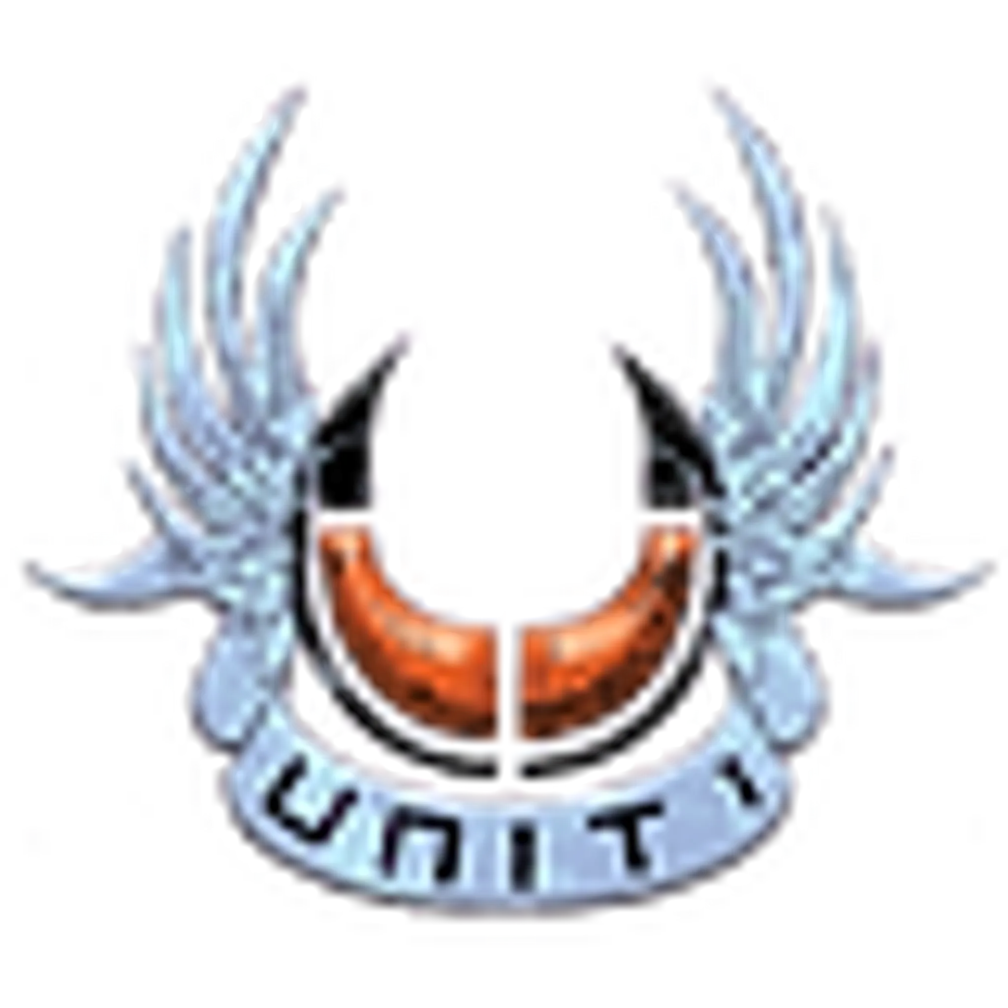 Unit 1 Skatepark. (Rochester)