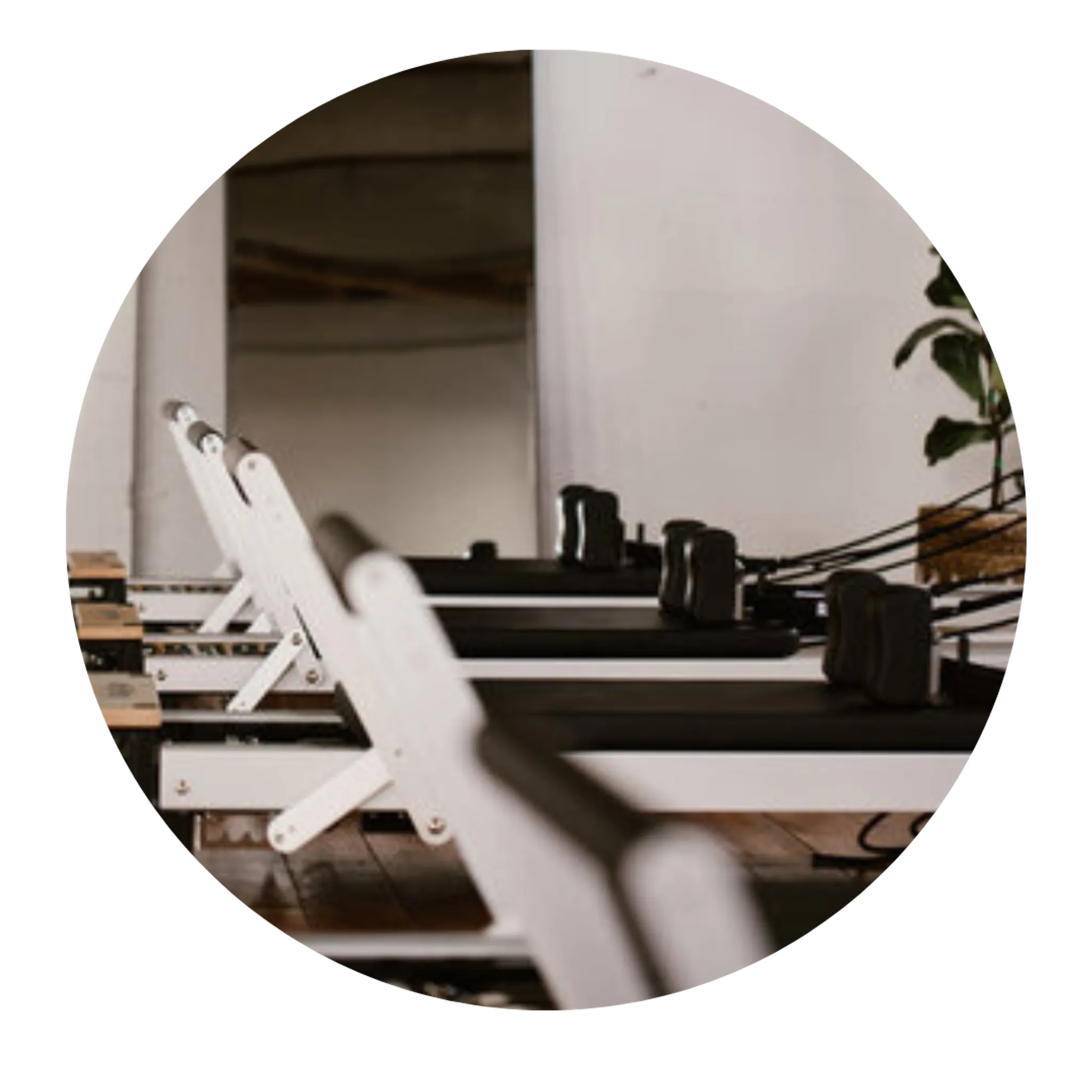 Reformer Pilates Class