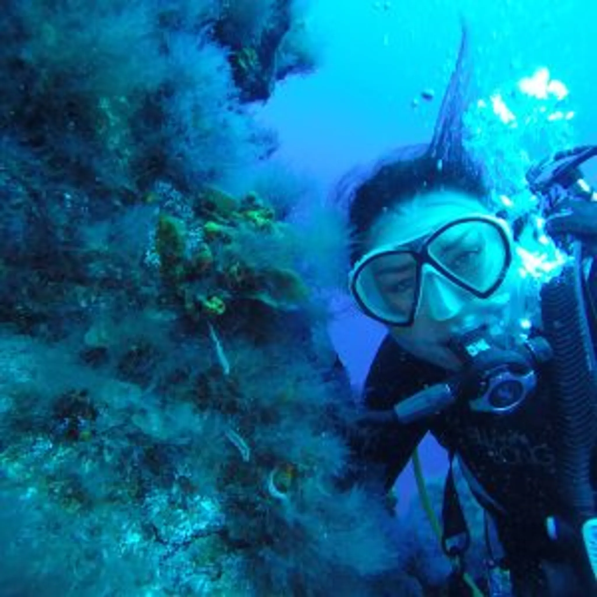 Triton First Aid Courses Ireland