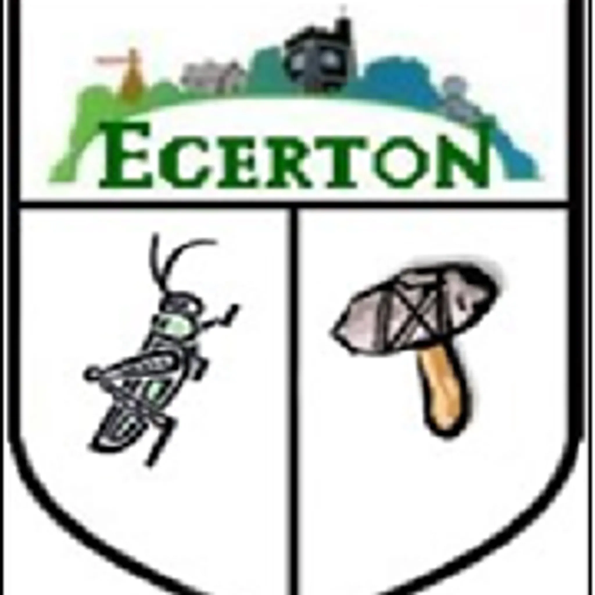 Chelsfield Cricket Club