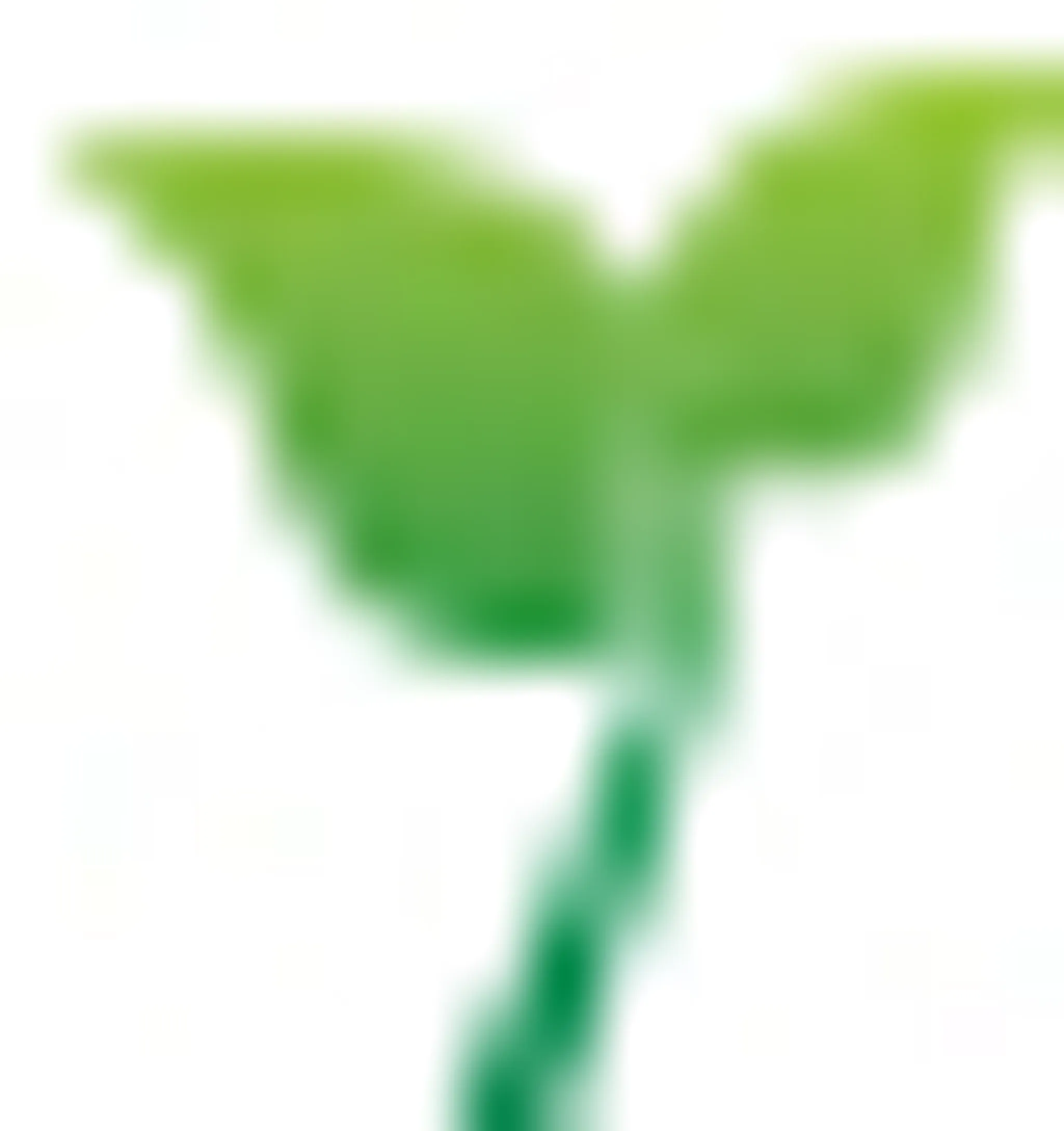 Your Health Exercise Physiology and Personal Training