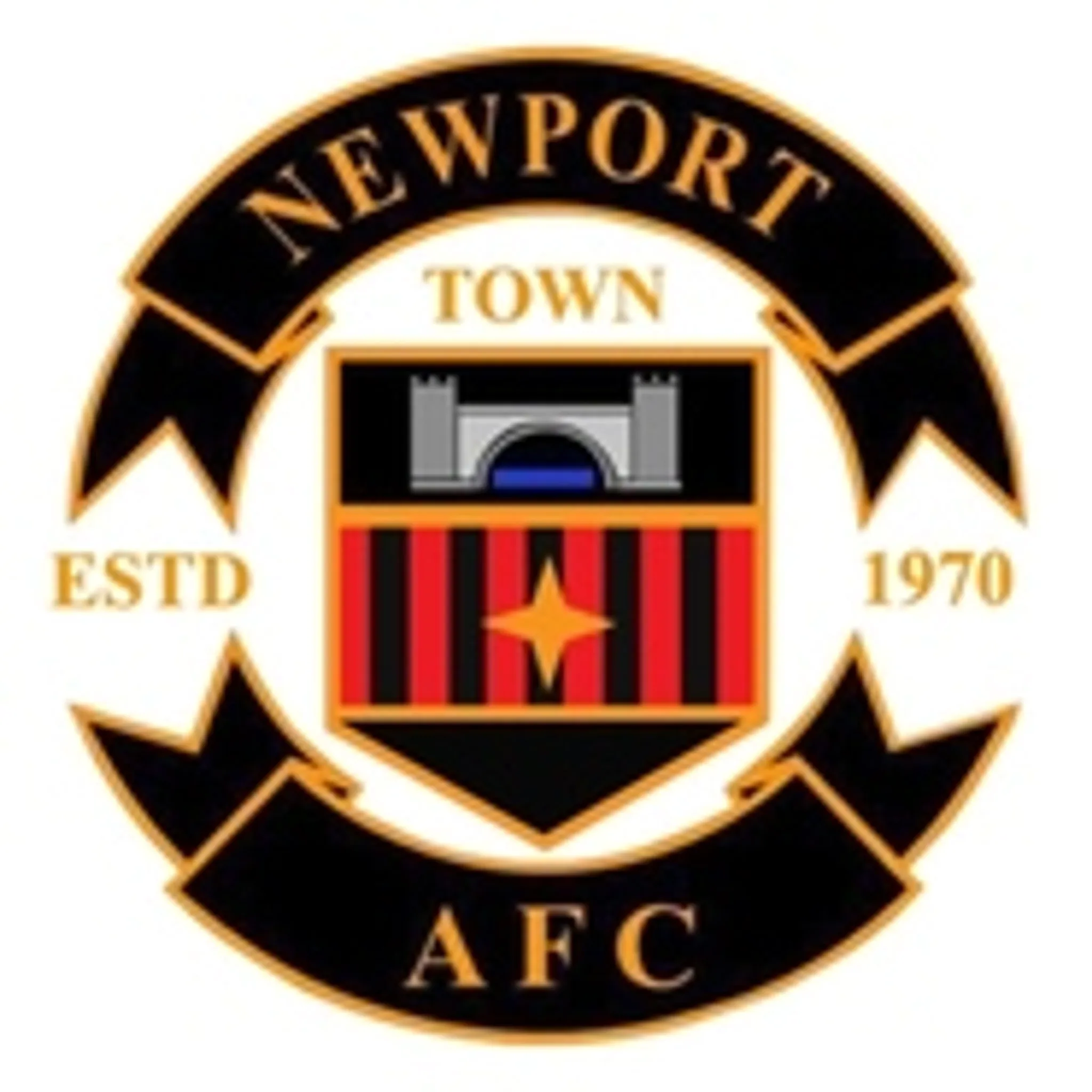 Newport Town AFC (Soccer Club)