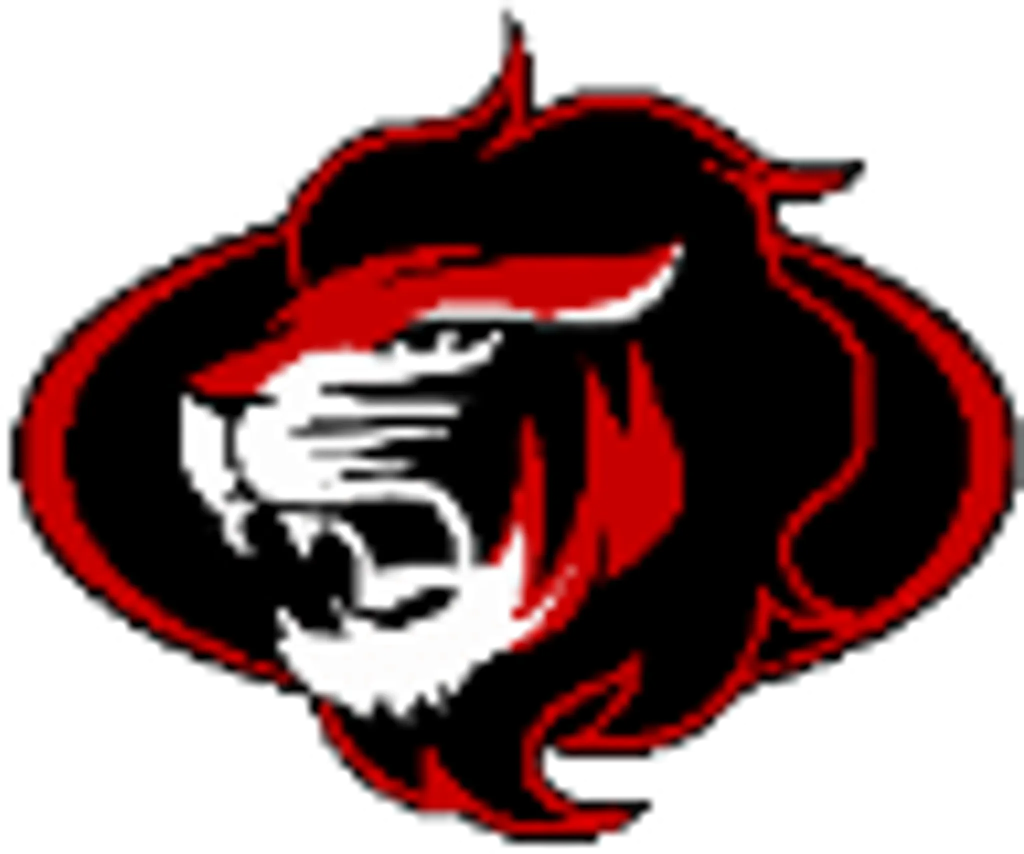 RED LION SCHOOL OF MARTIAL ARTS
