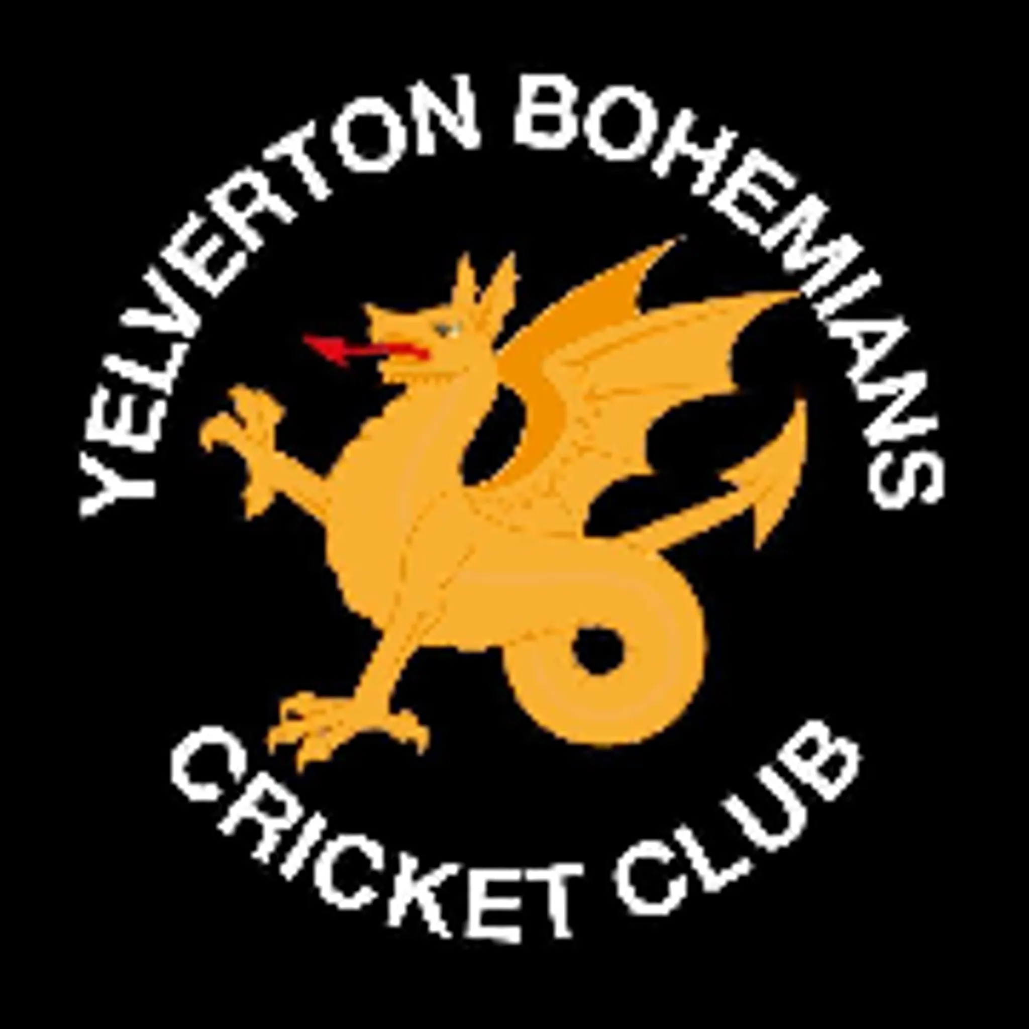 Yelverton Bohemians Cricket Club