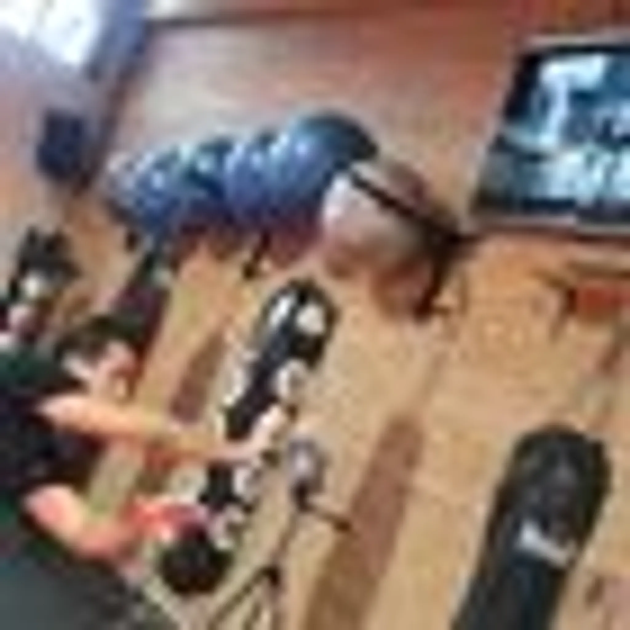 Close Combat Krav Maga