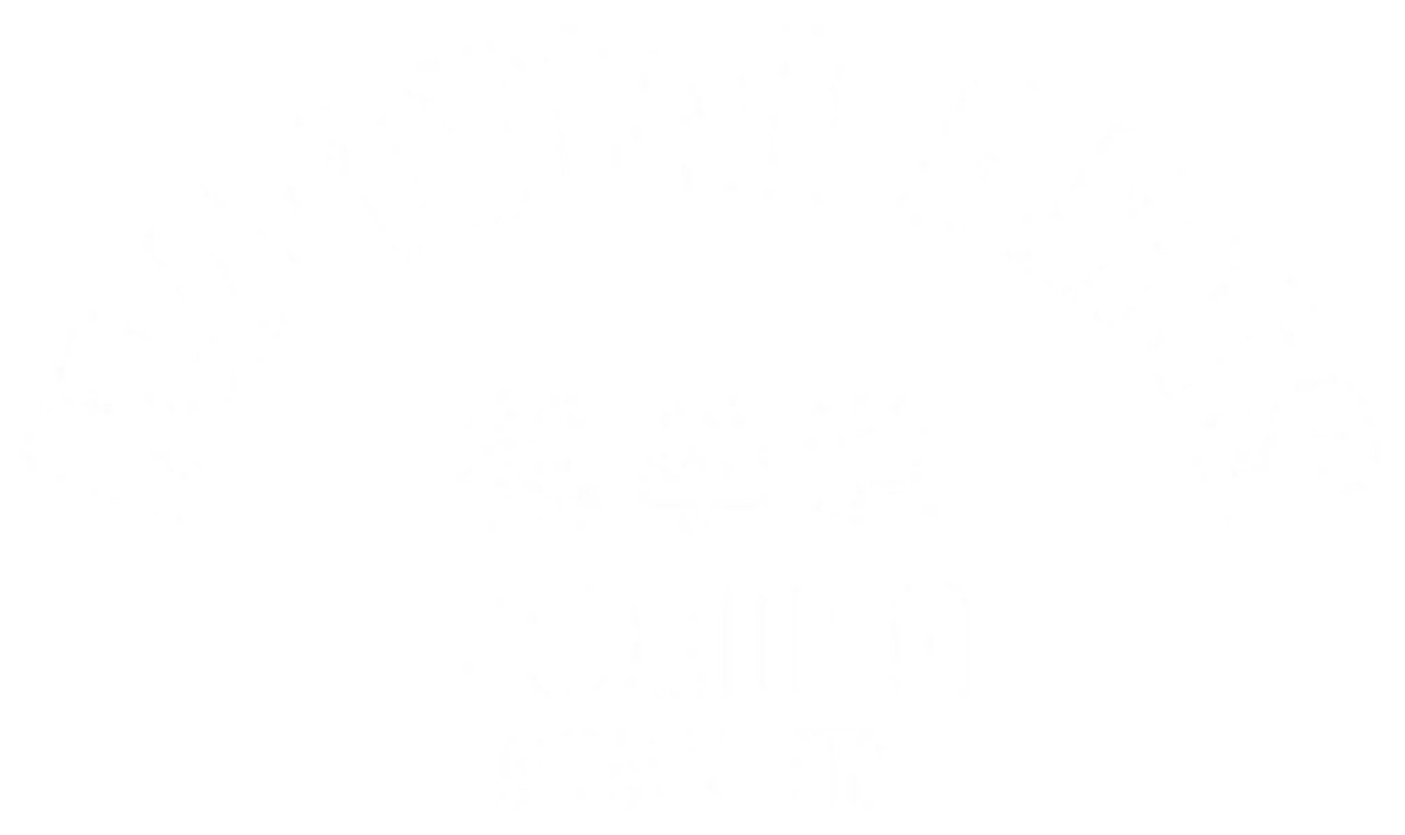 Martial Arts Boxing Academy