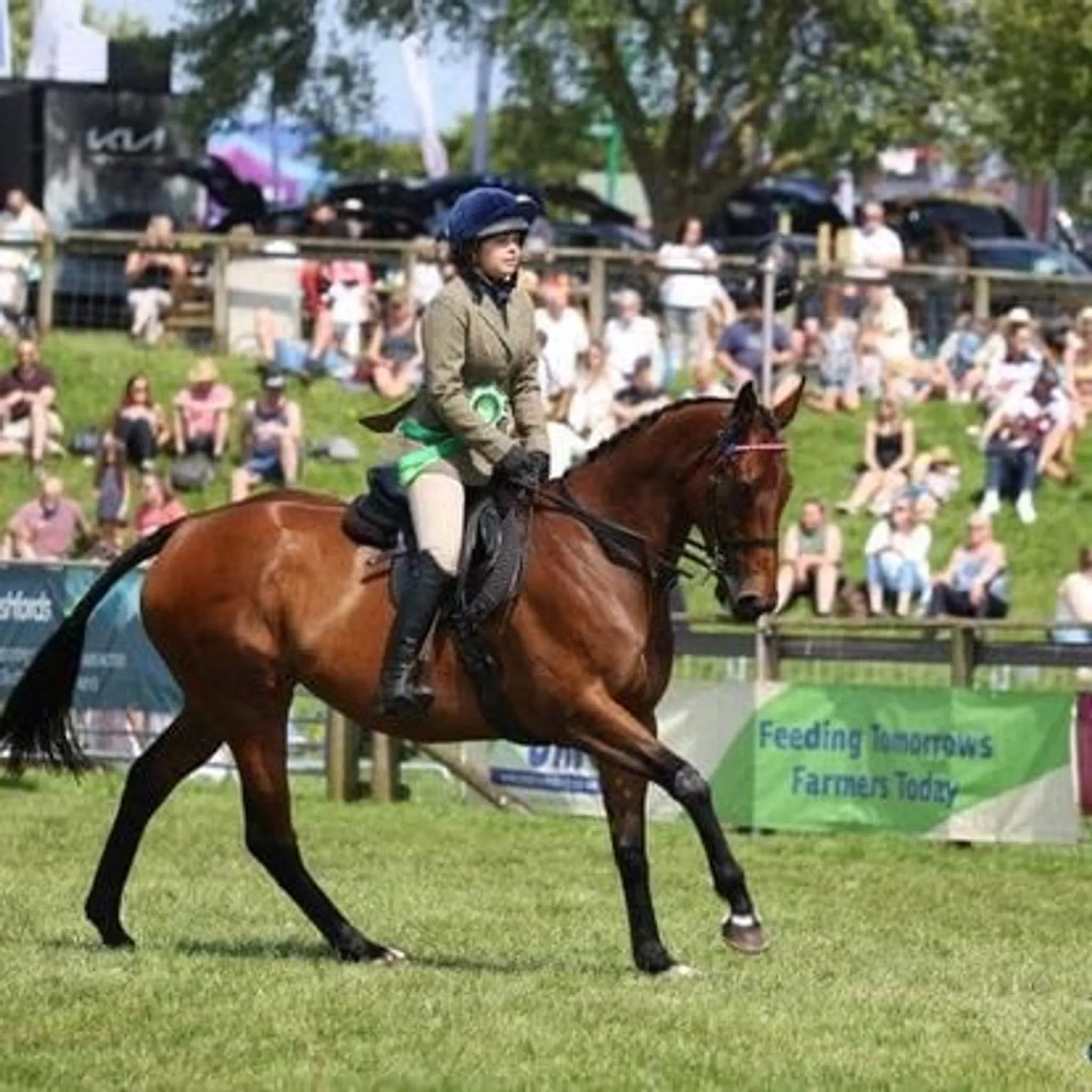 Sandford Stables (formerly Woodhouse Farm Riding Stables)