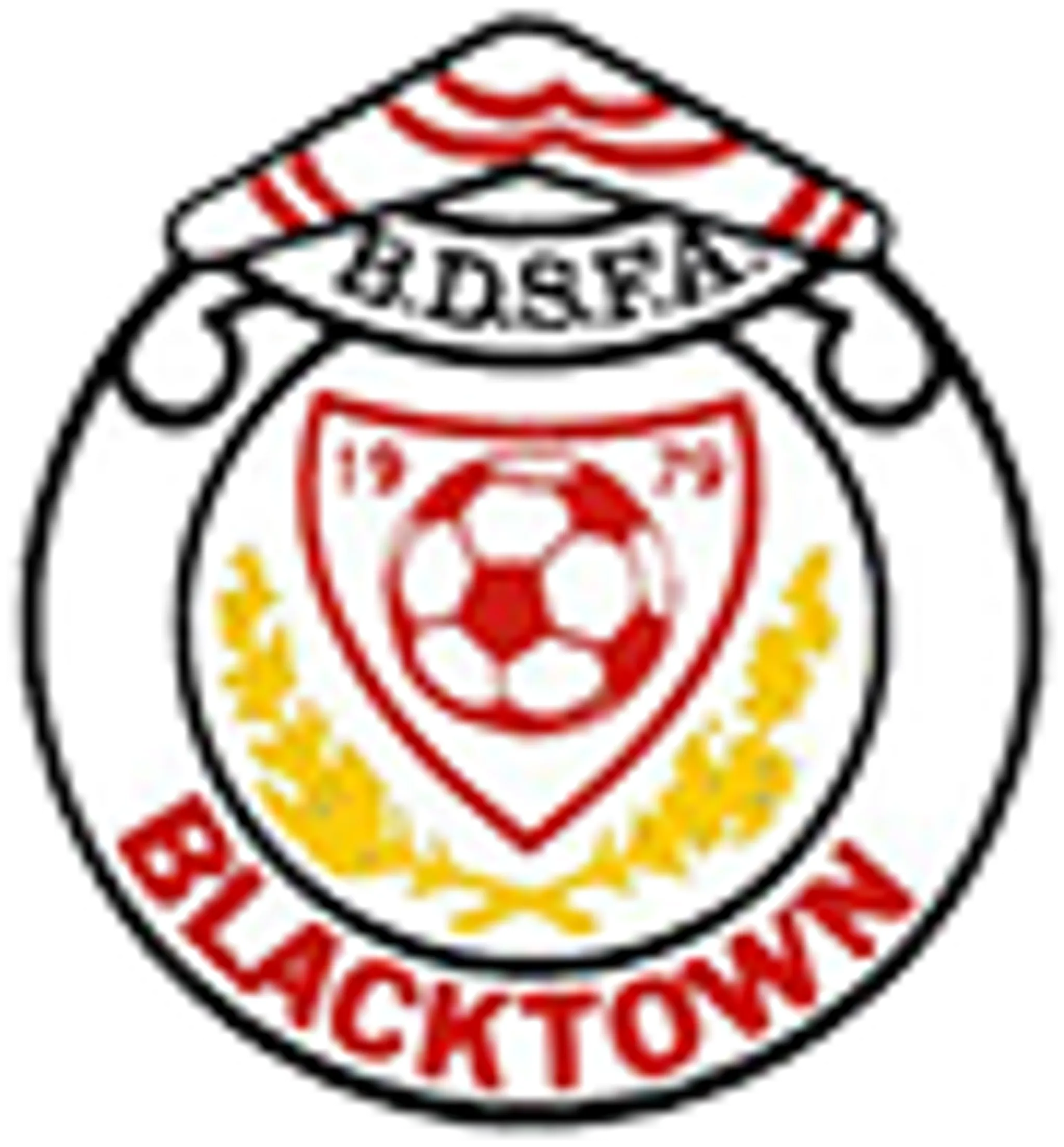 Blacktown District Football Association 