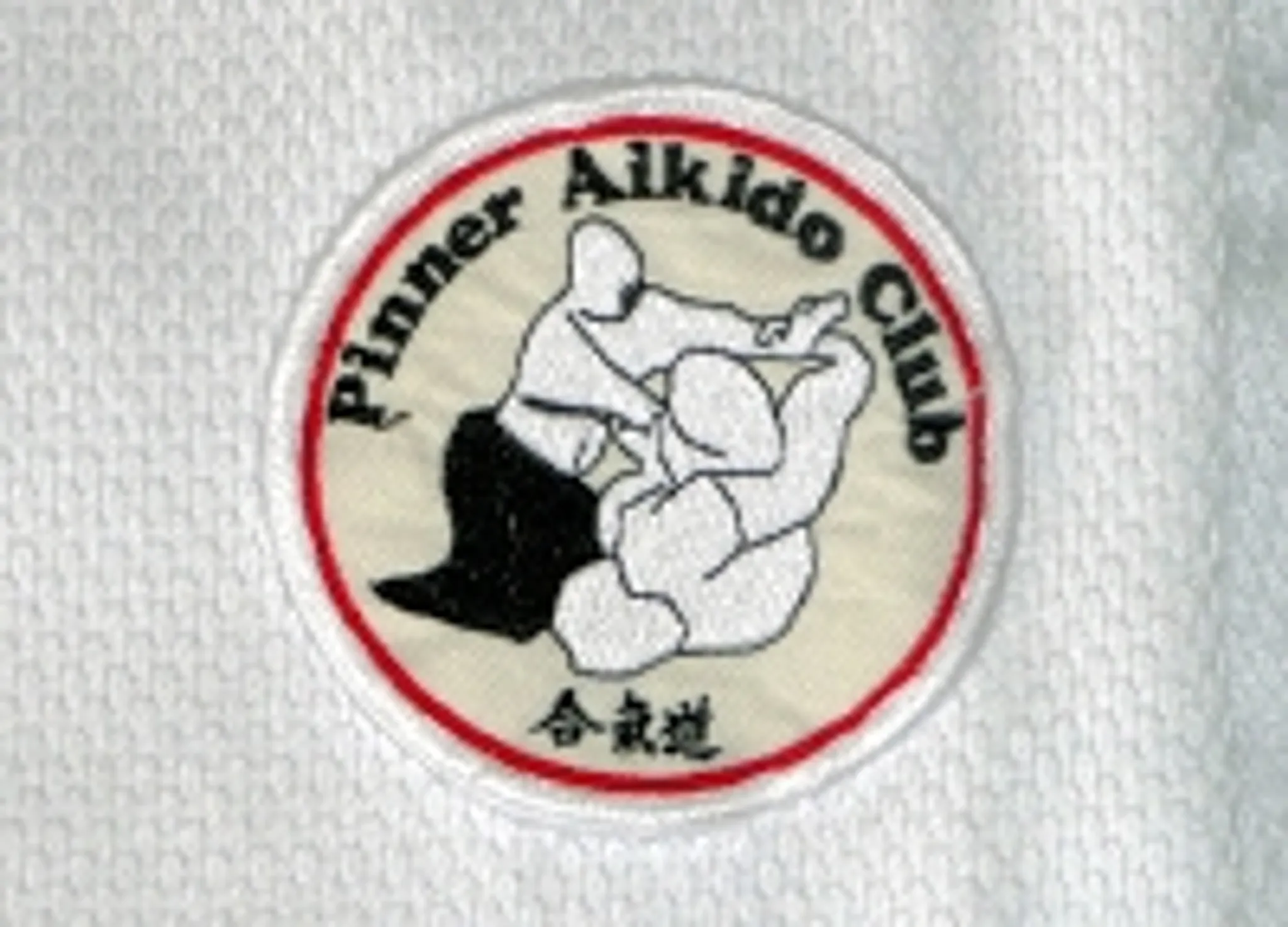 Pinner Aikido Club - Adult Classes for 18+