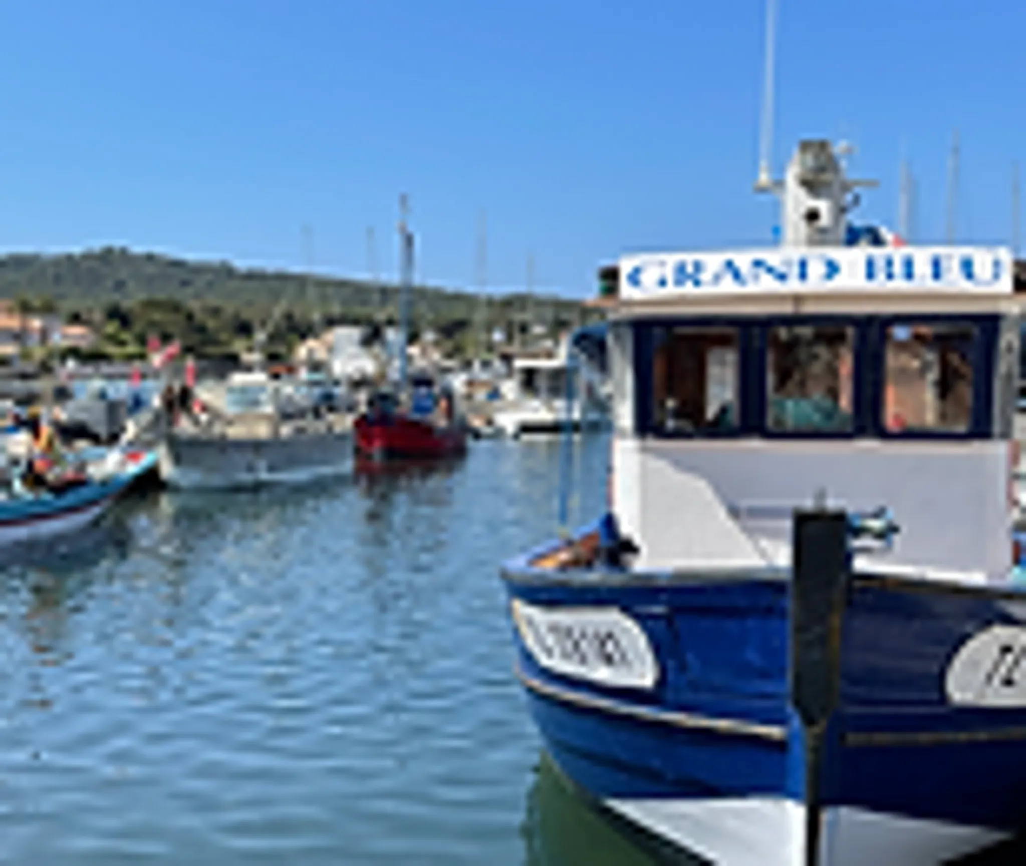 Porquerolles Plongée