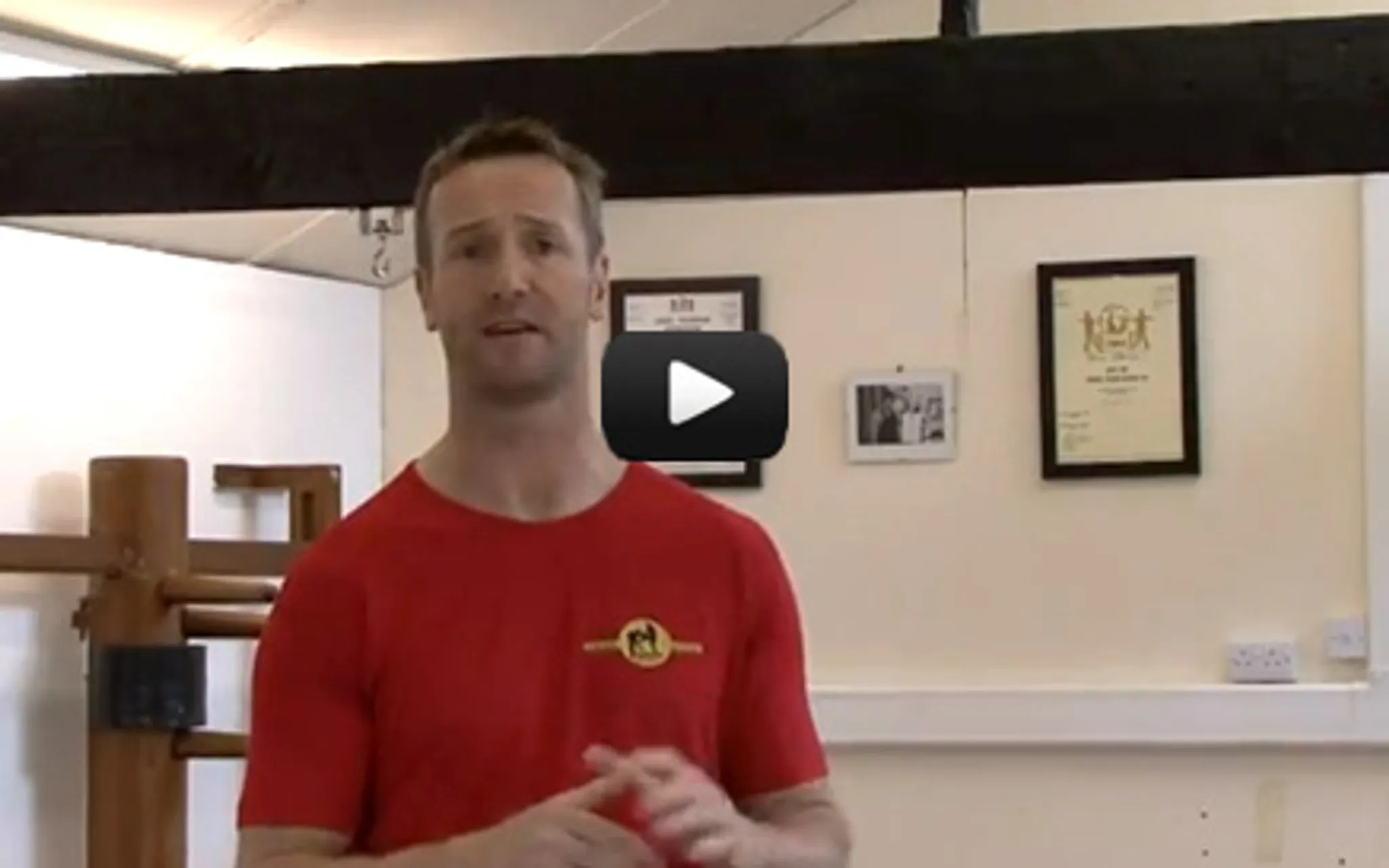 Wing Tzun Self Defense