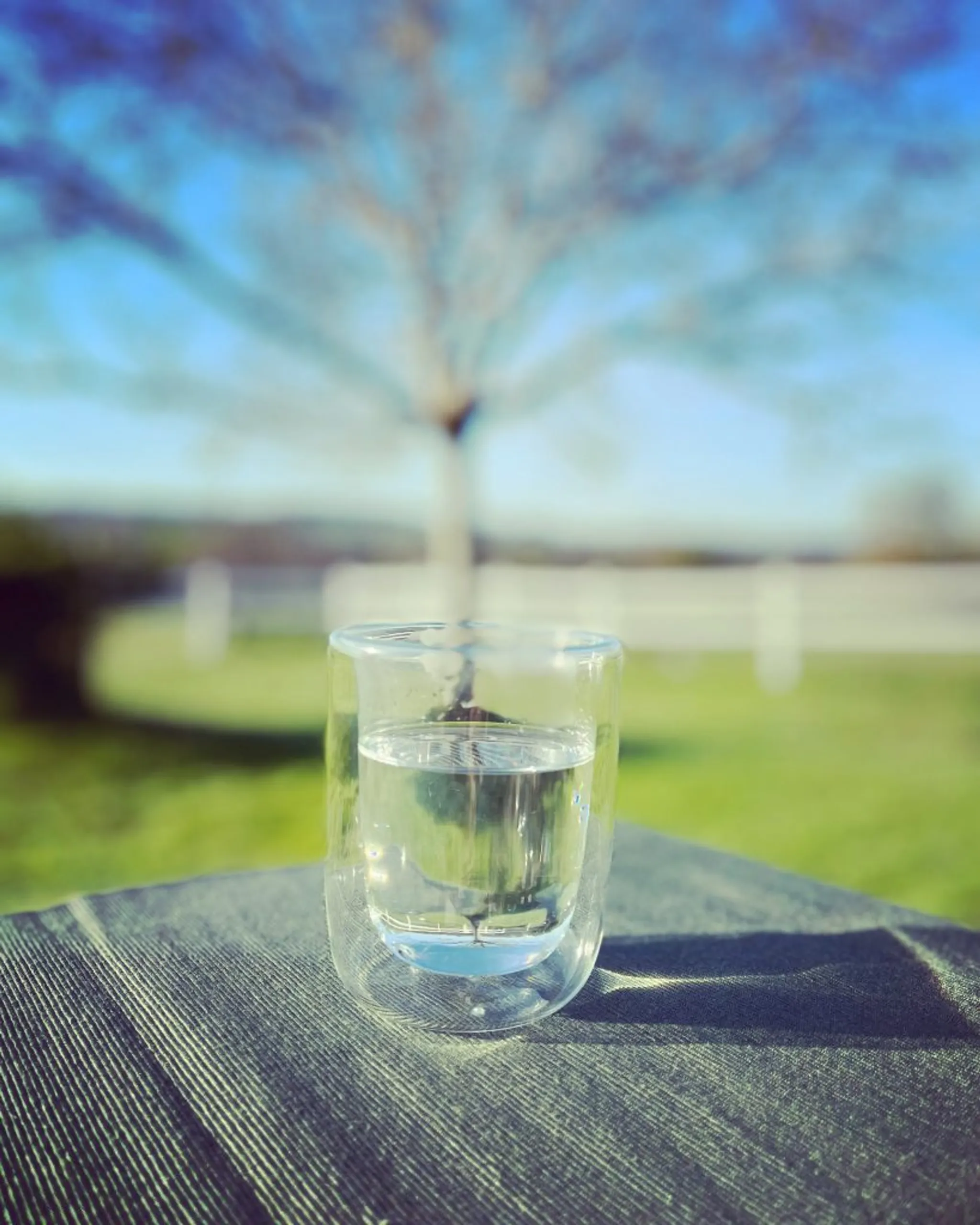 Yoga Charlotte Nansot Yoga