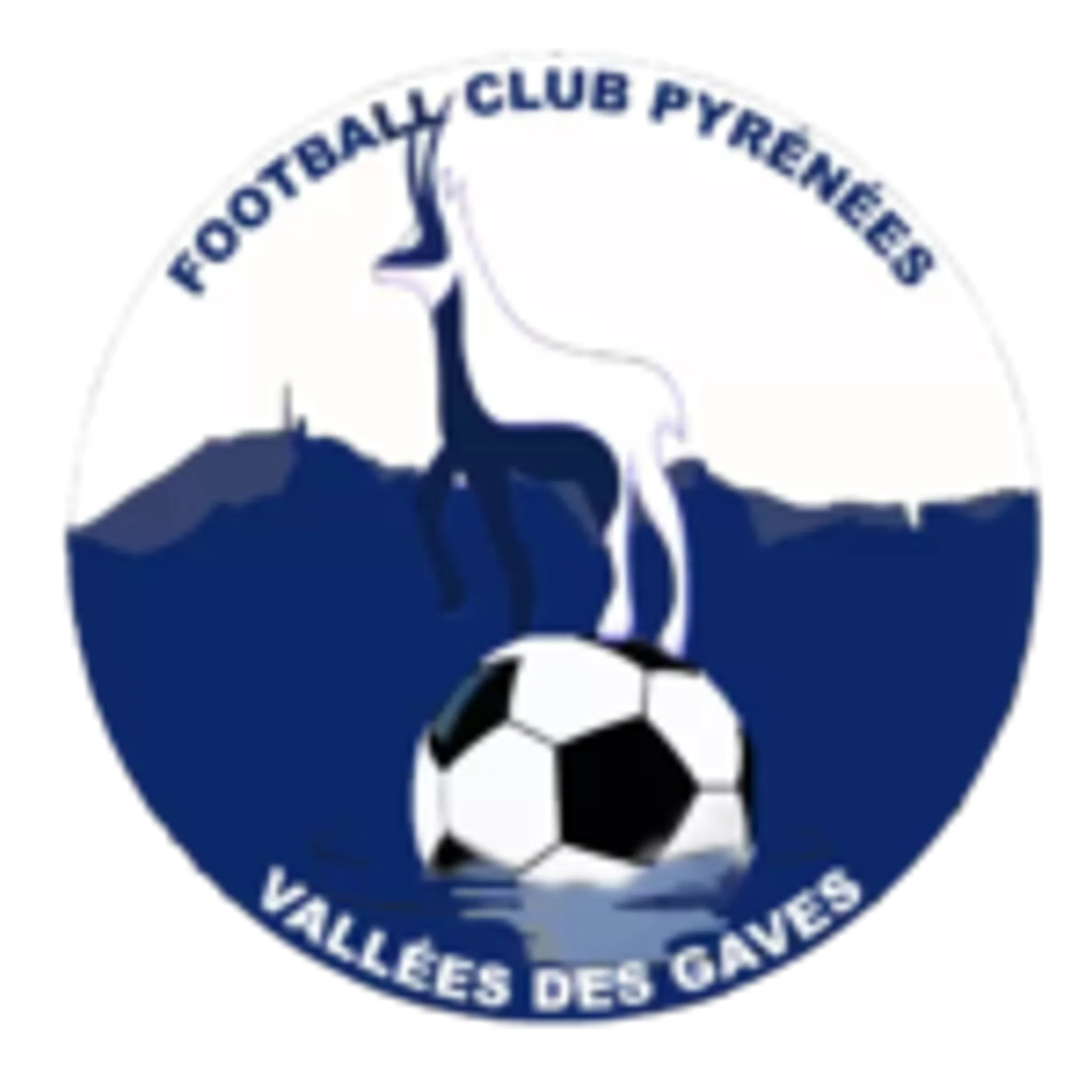 FC PVG - Football Club Pyrénées Vallées des Gaves
