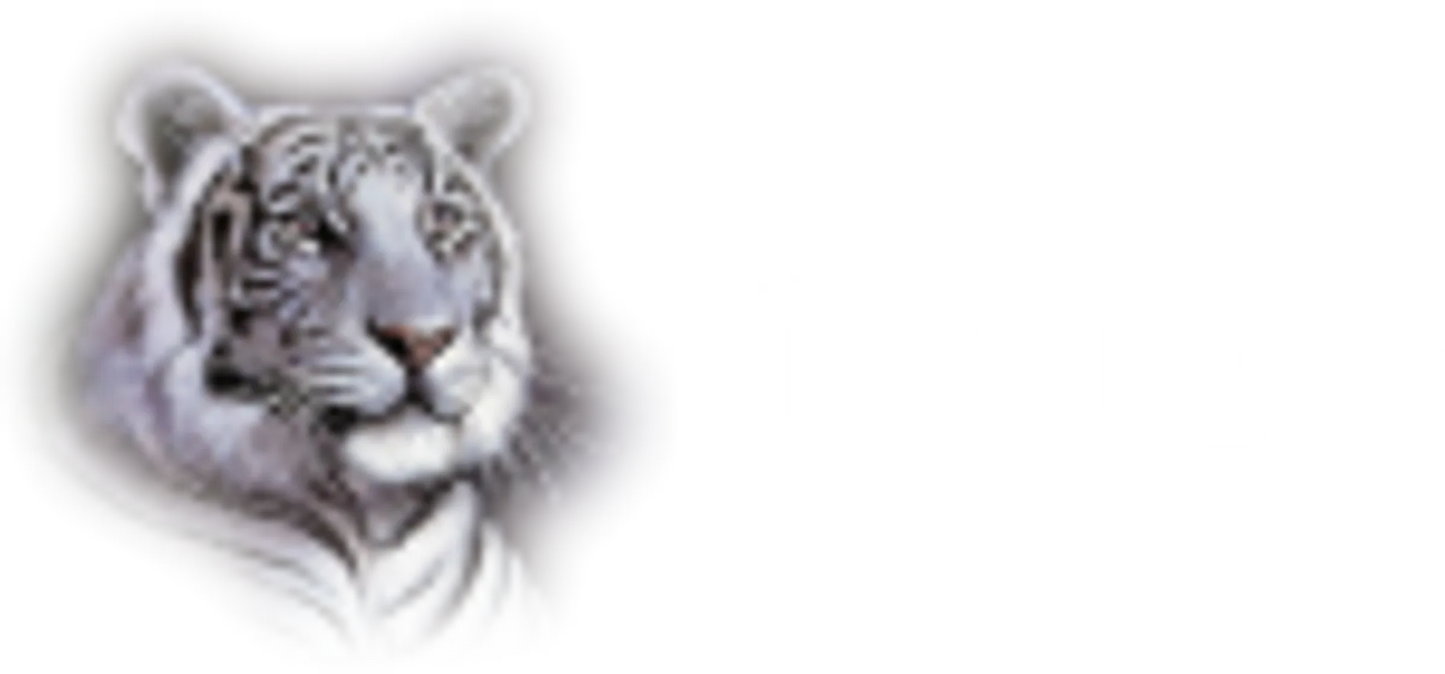 Tiger Martial Arts Ilford