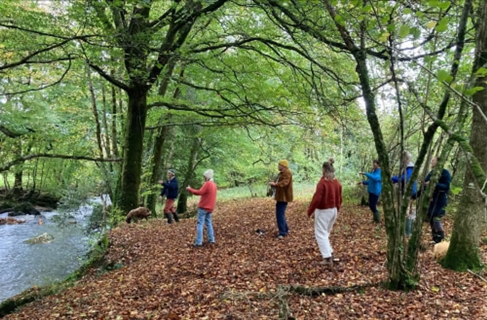 LIVING MOVEMENT Chi by the Sea 2024