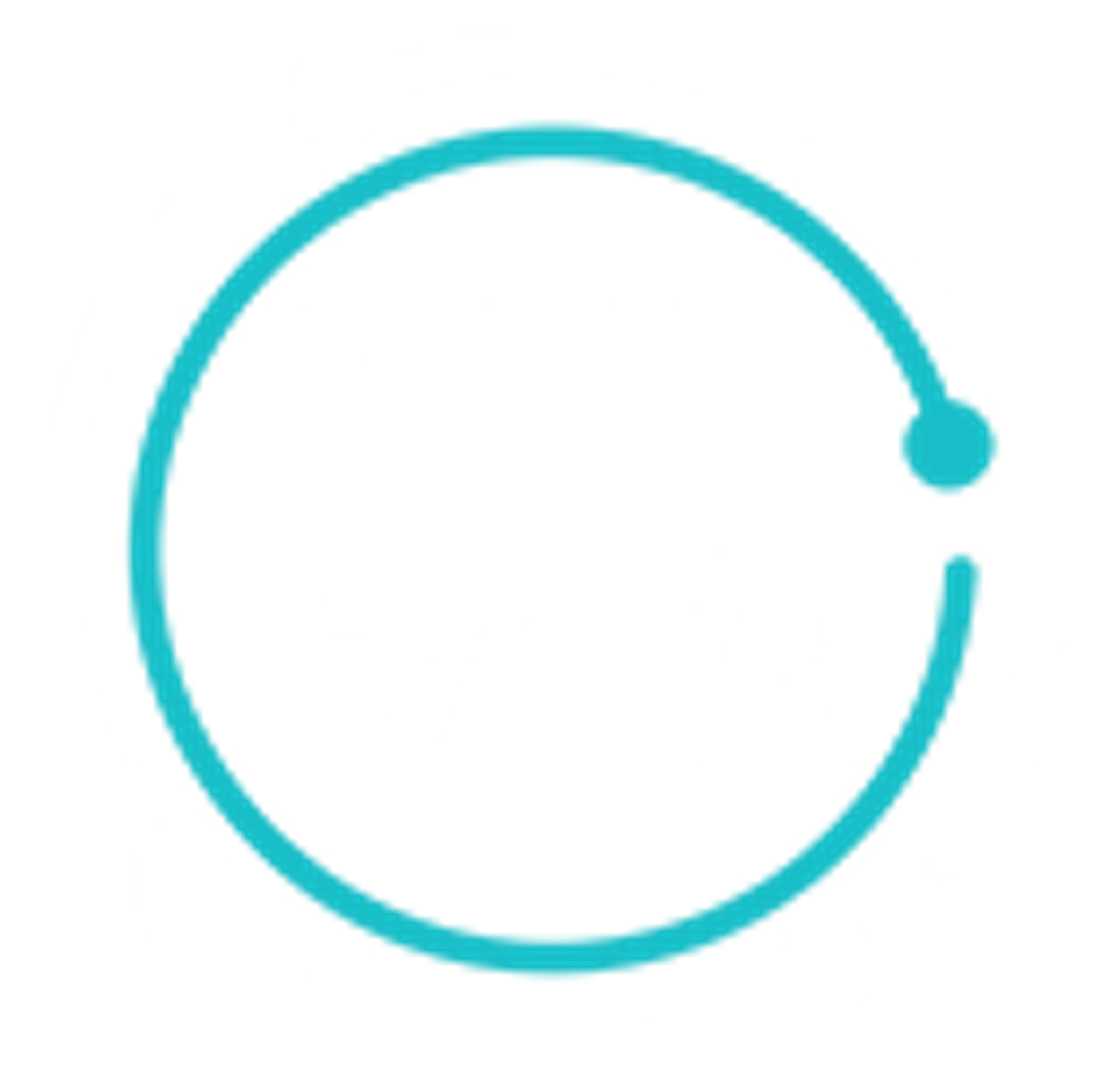 The Bay Health Club