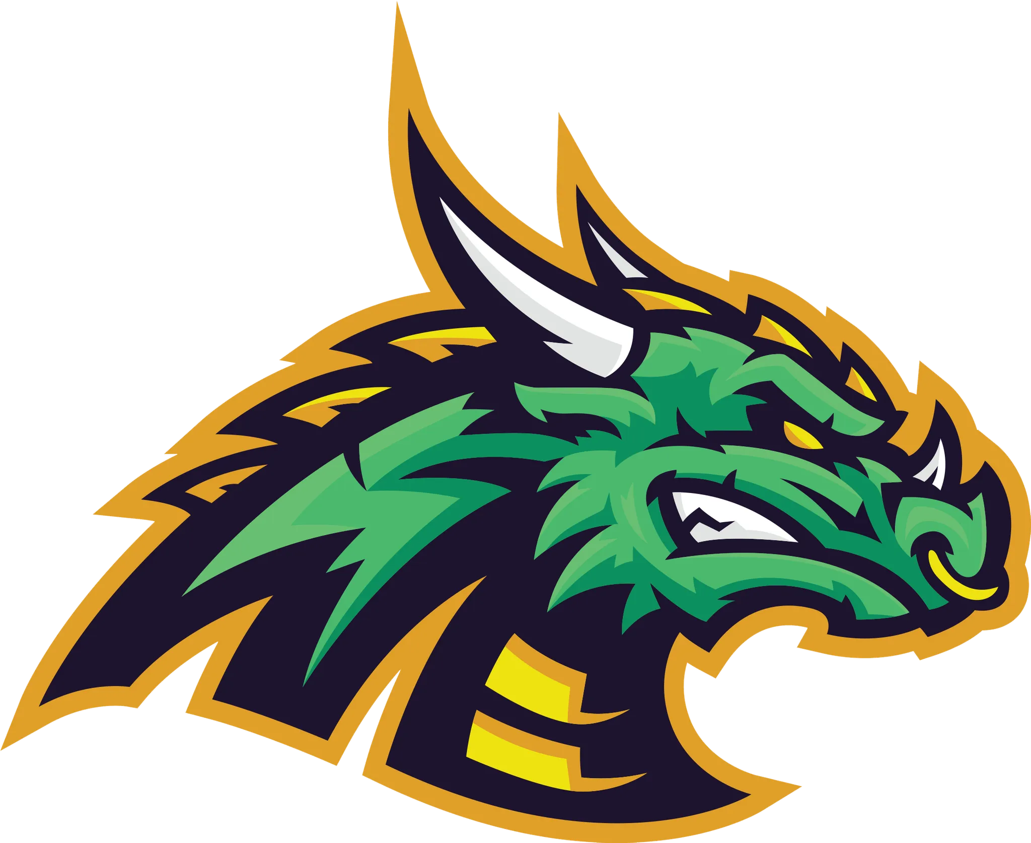 Victoria Bruins vs. Victoria Anarchy