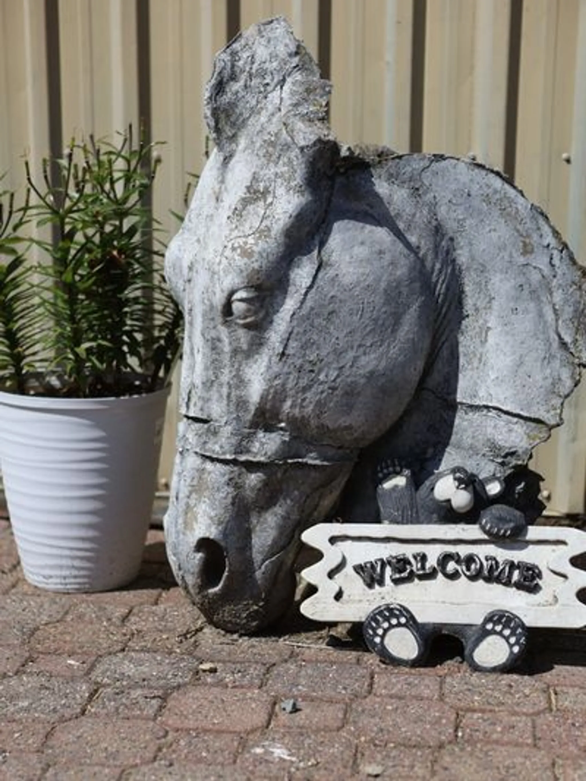 Priority 1 Equestrian