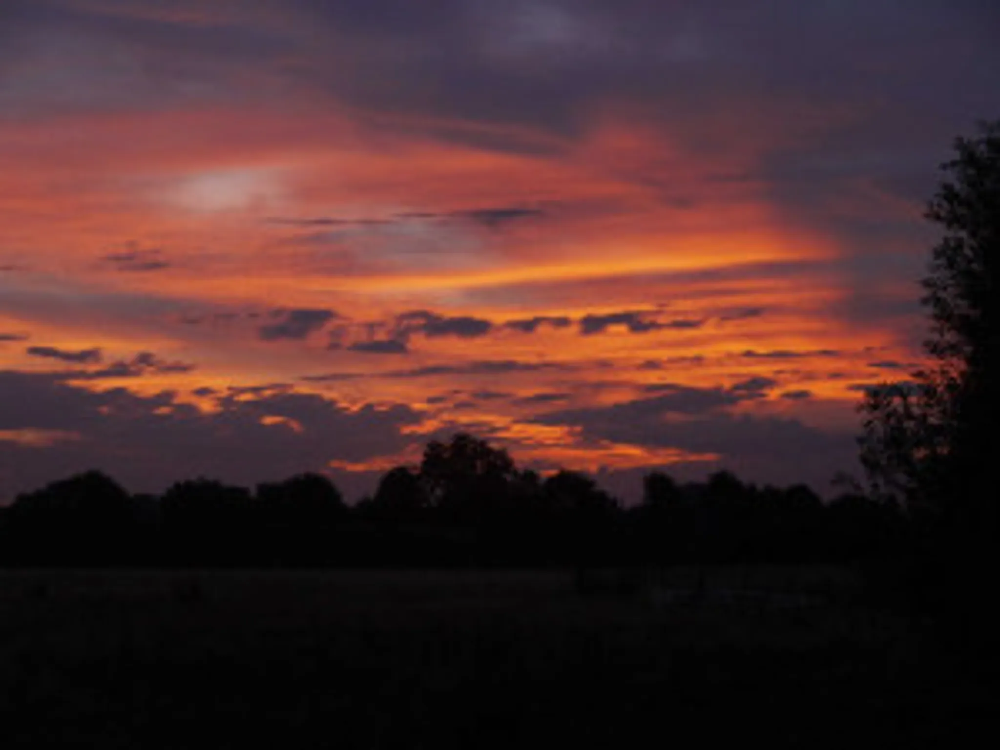 DDAPS Brooklands Fishing Venue