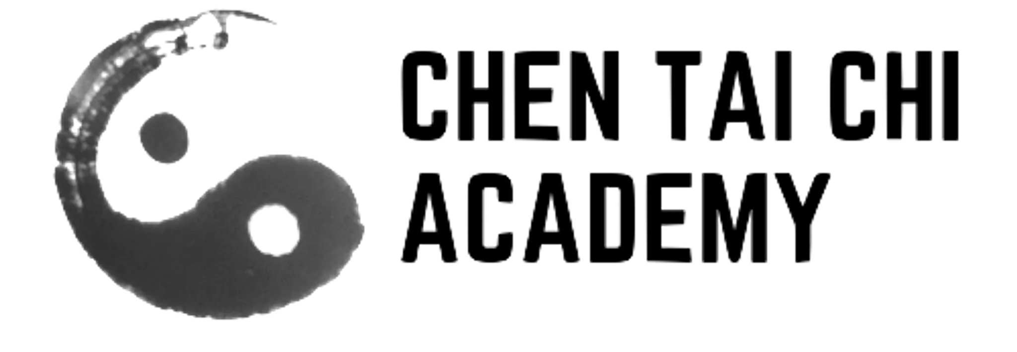 Chen Tai Chi Academy - Belmont