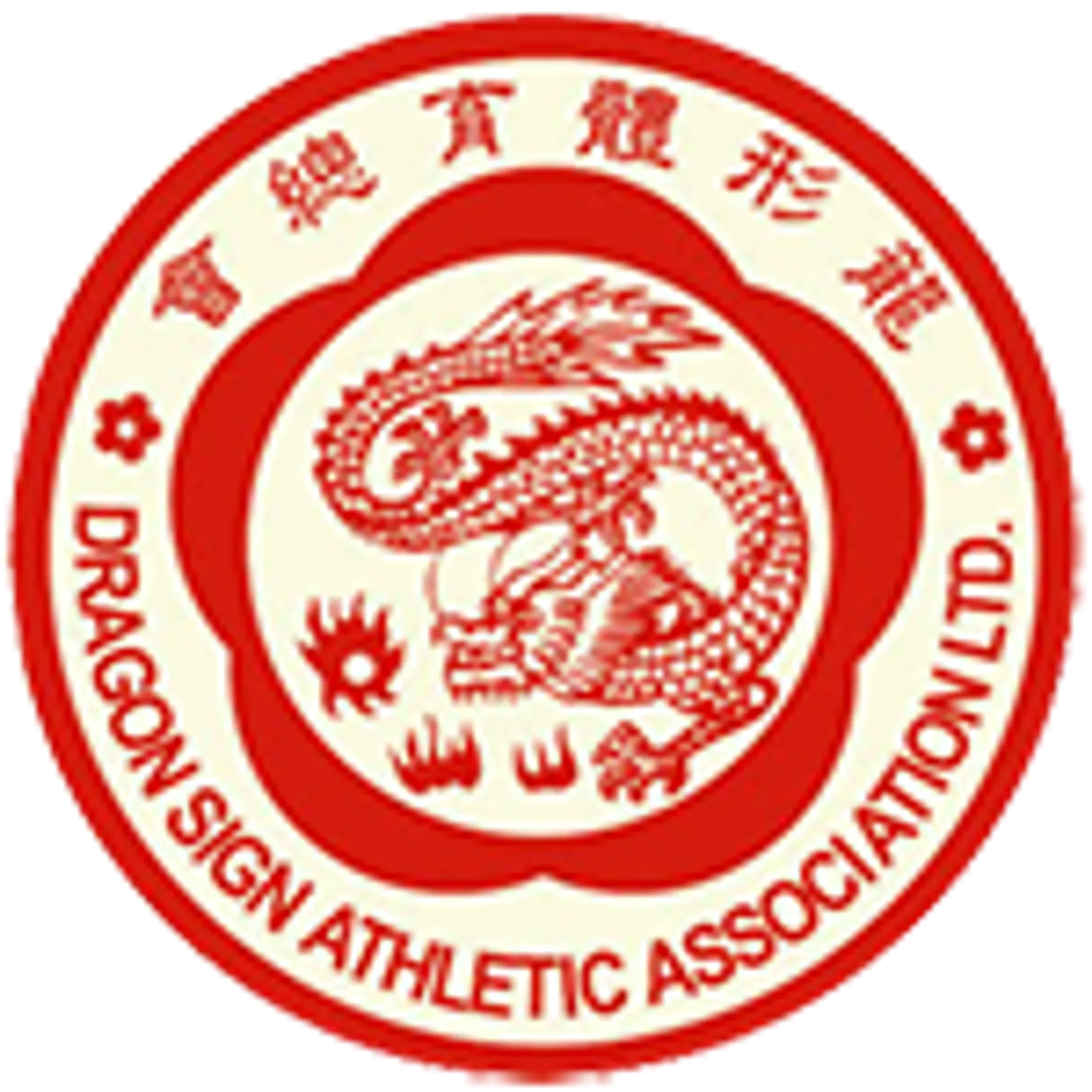 Dragon Martial Arts Association