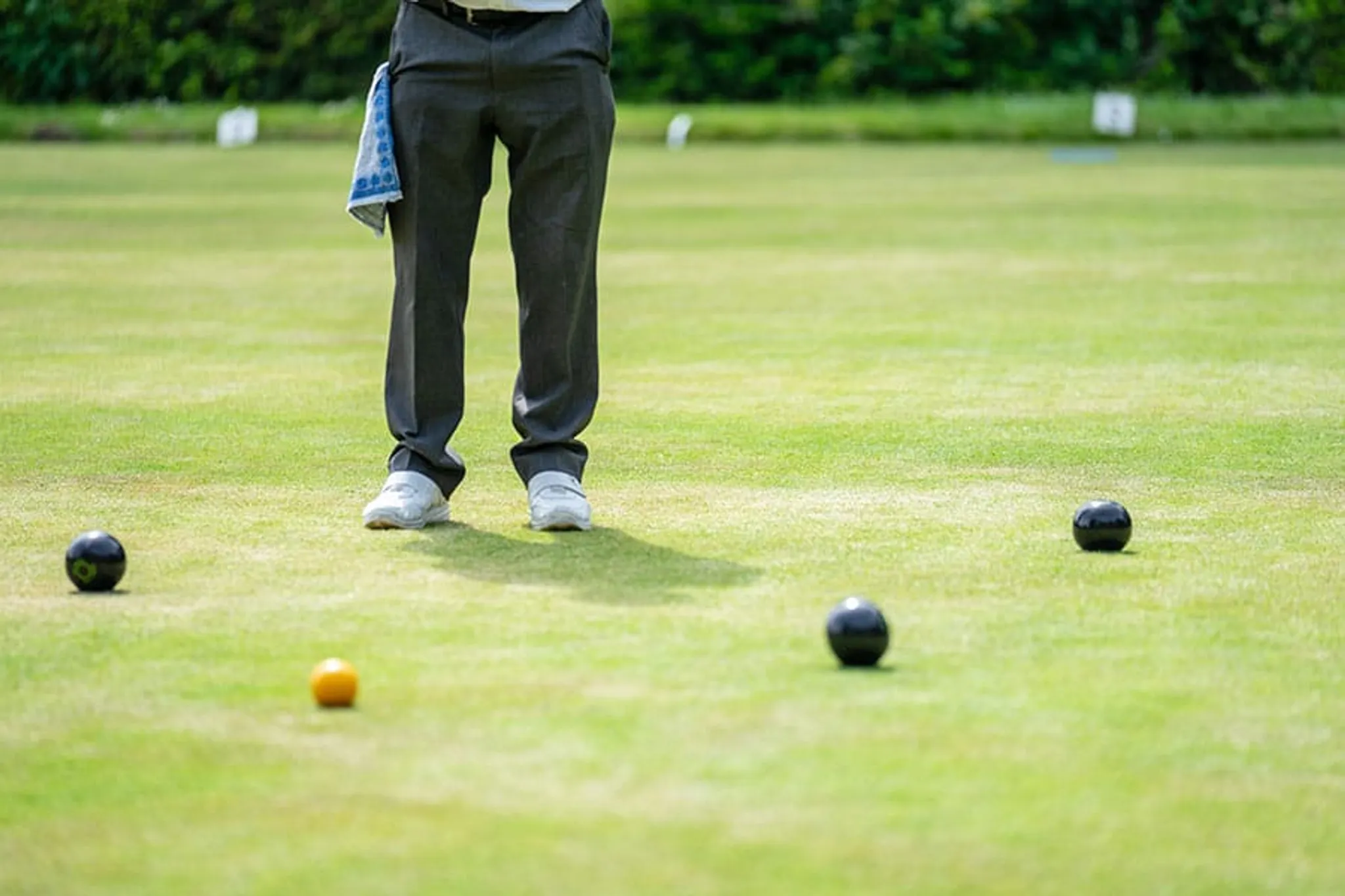 Twin Towns Services Bowls Club