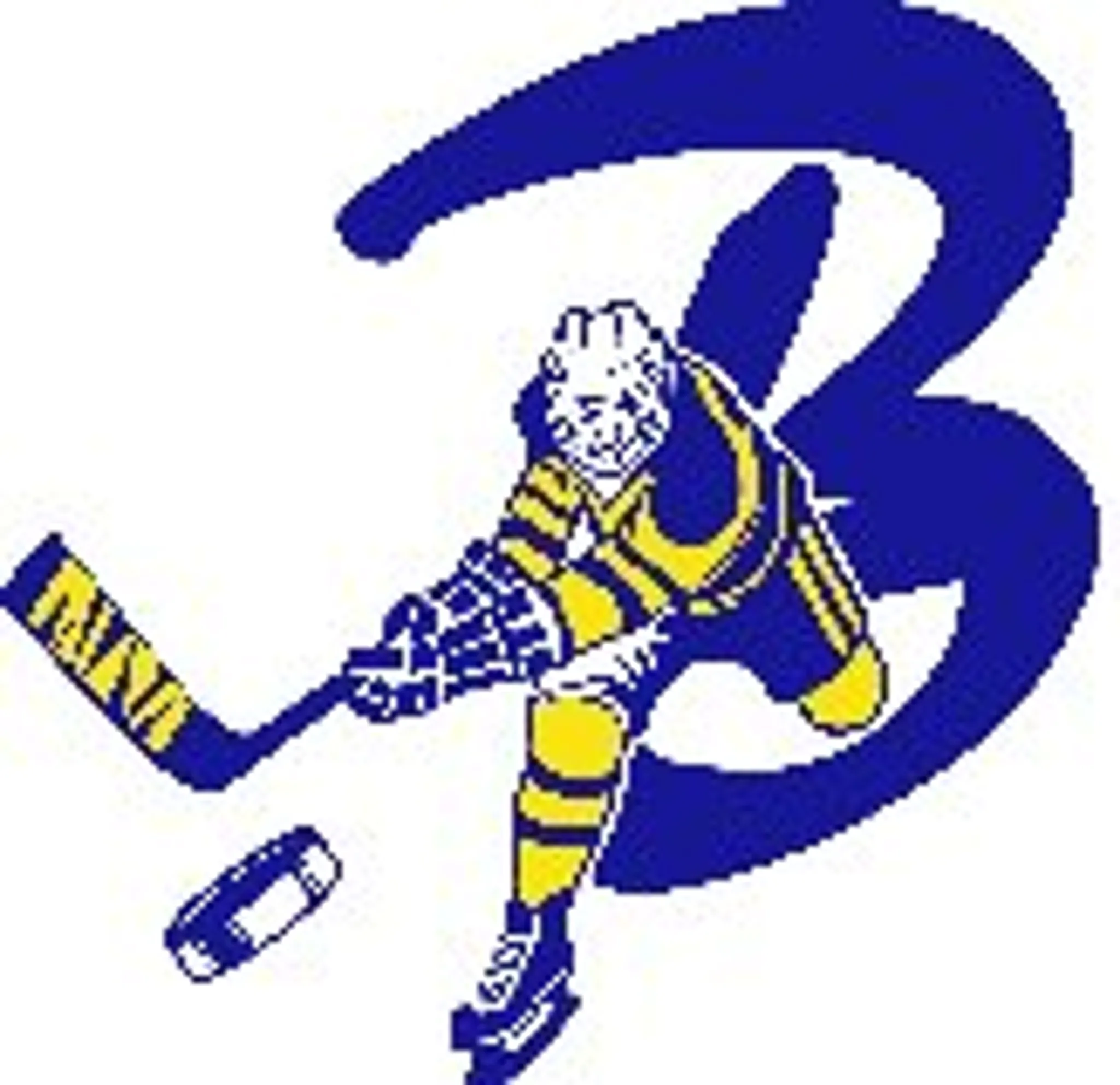Burlington Oldtimers Hockey