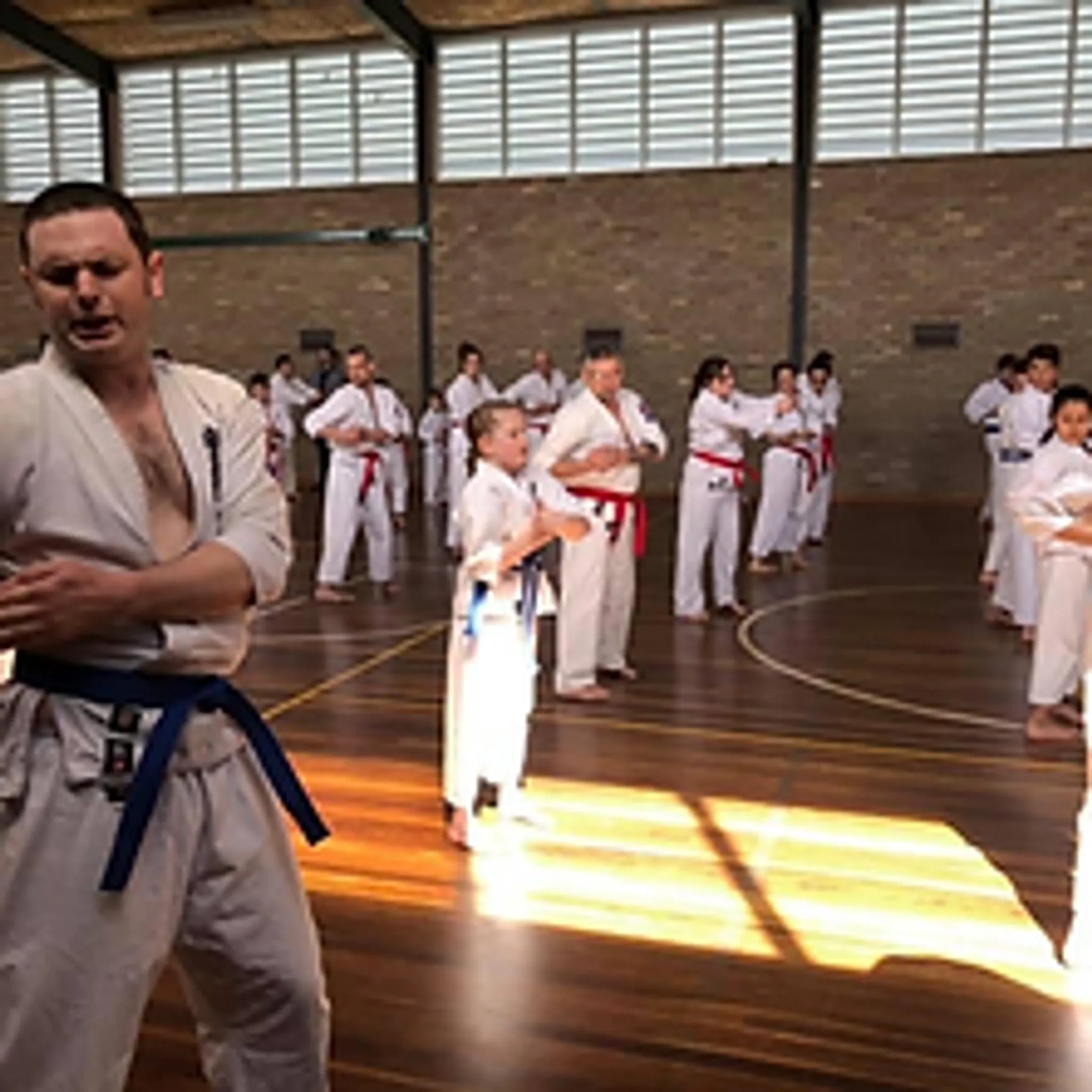 Kyokushin Karate Narre Warren Dojo