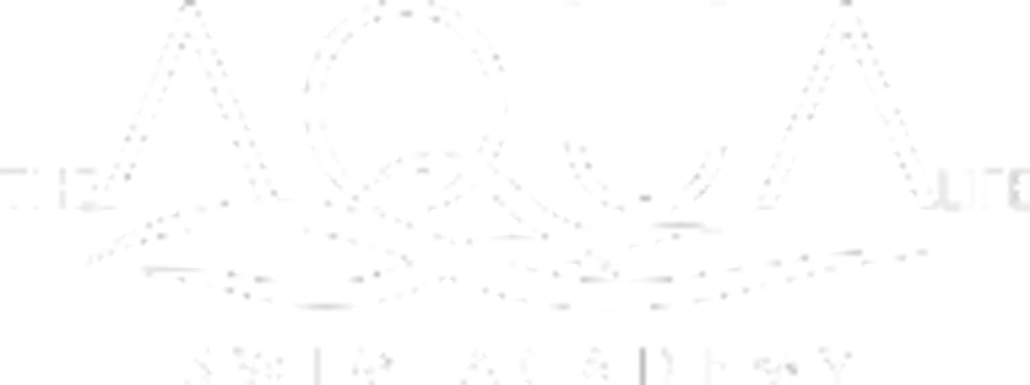 The Aqua Life Swim Academy