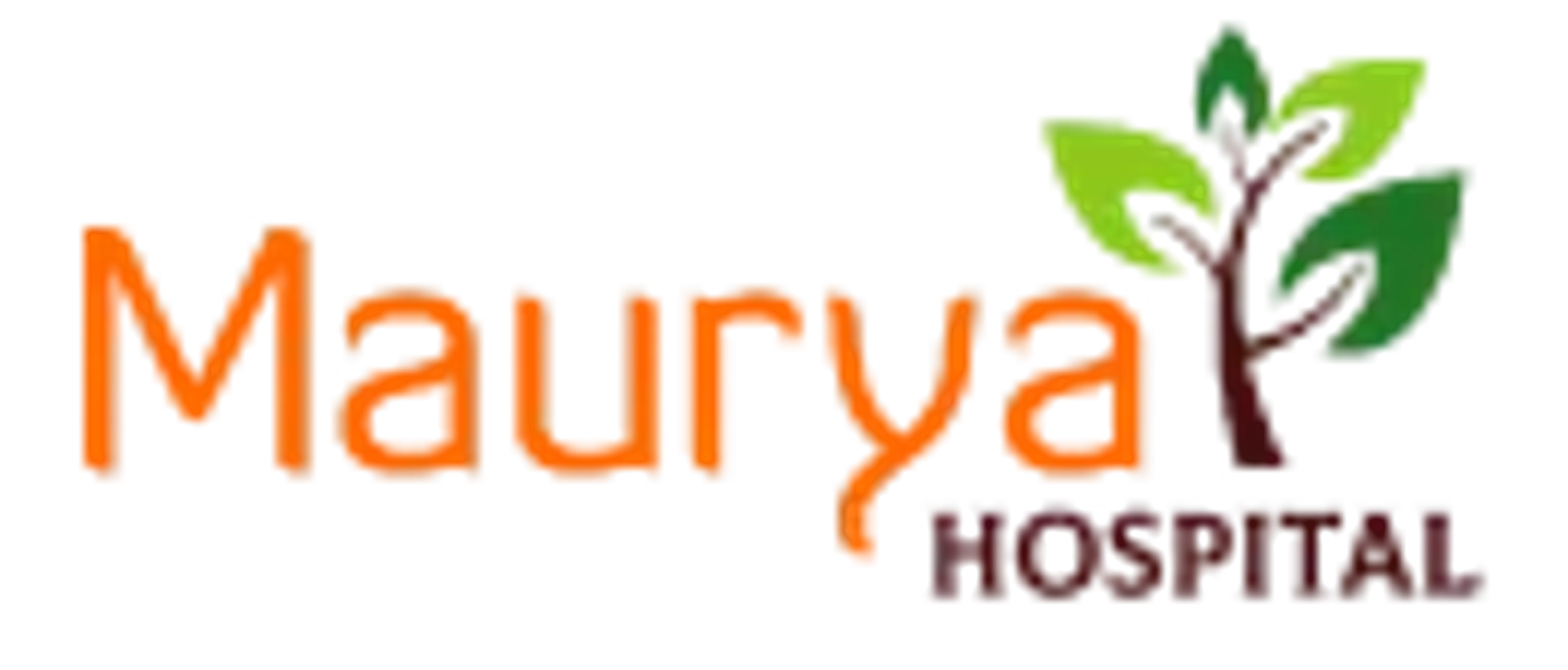 Maurya Stroke Rehabilitation center (Physiotherapy in india)