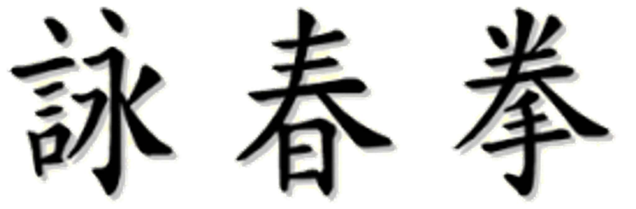 Wing Chun Kampfkunstverein